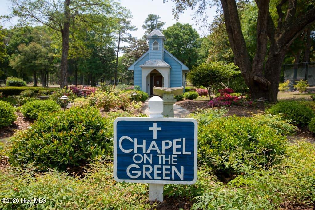 100562919 | Photo 97