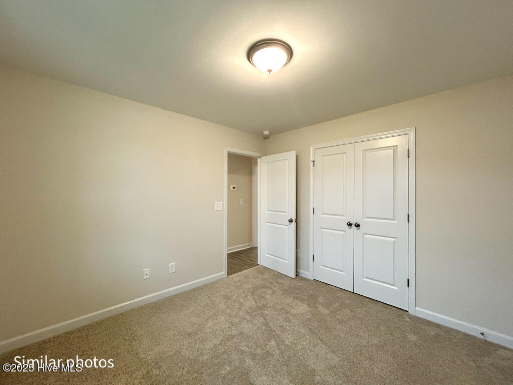 100508196 | Photo 38