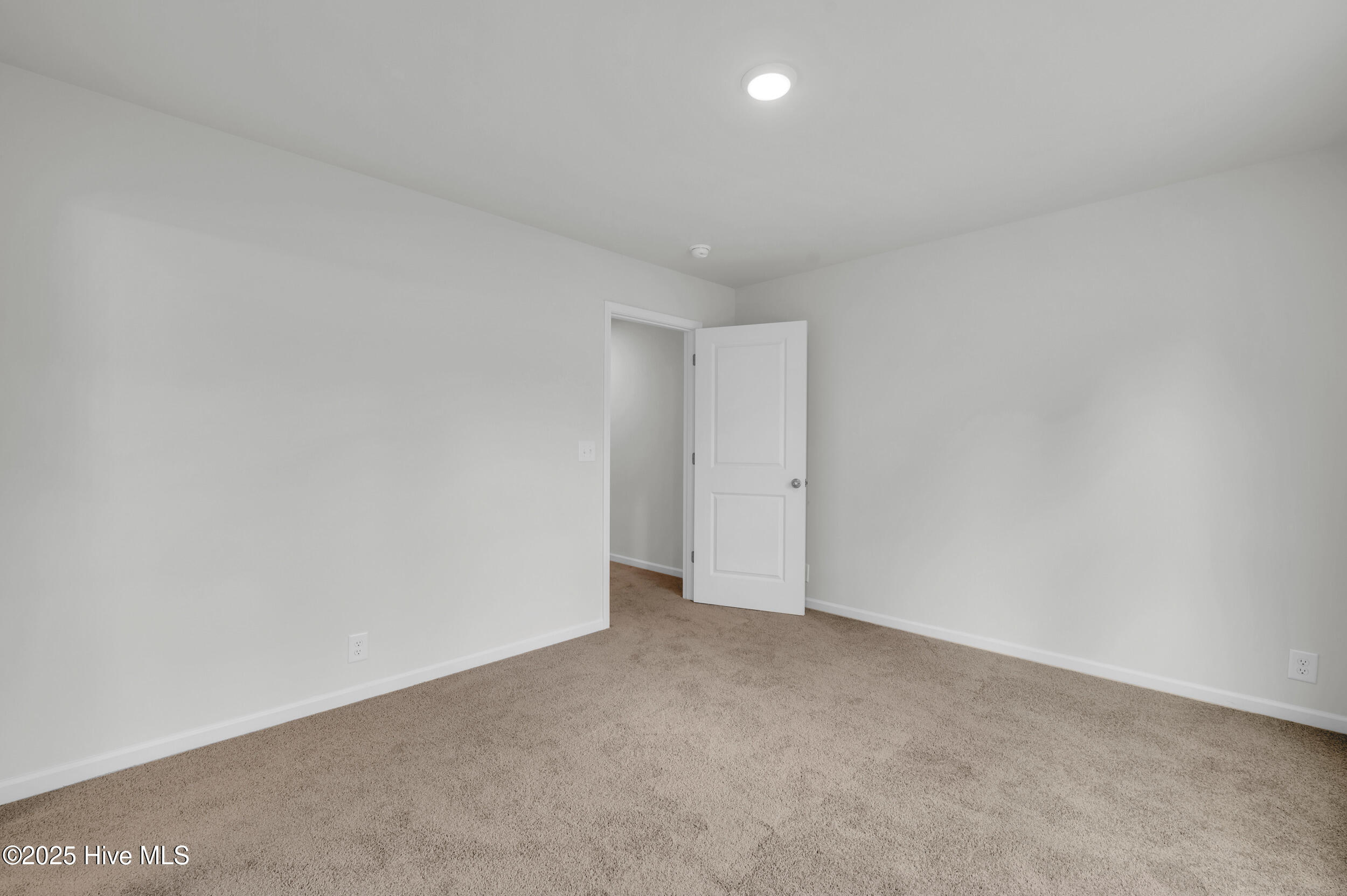 100522862 | Photo 12