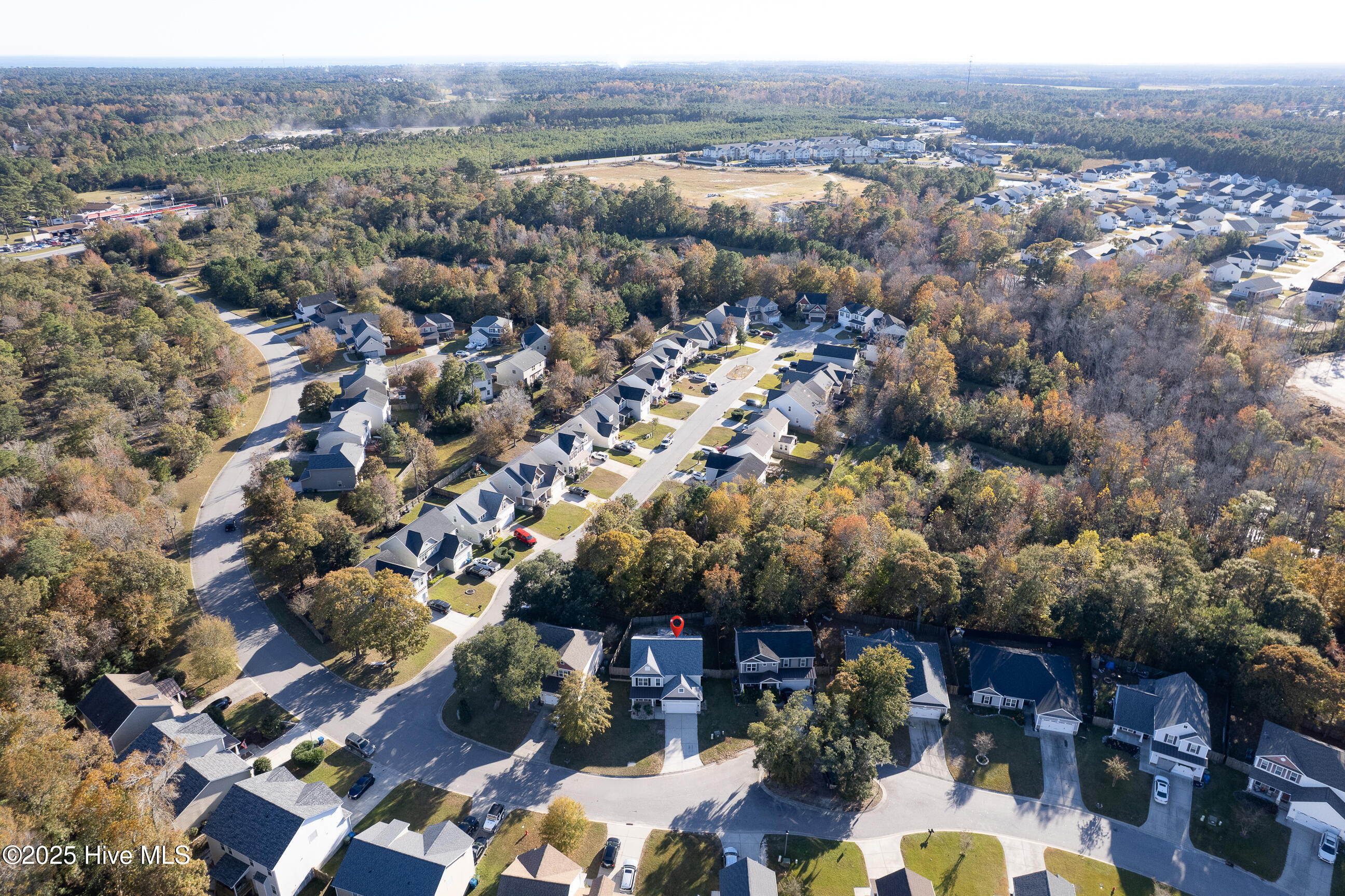 100541527 | Photo 41