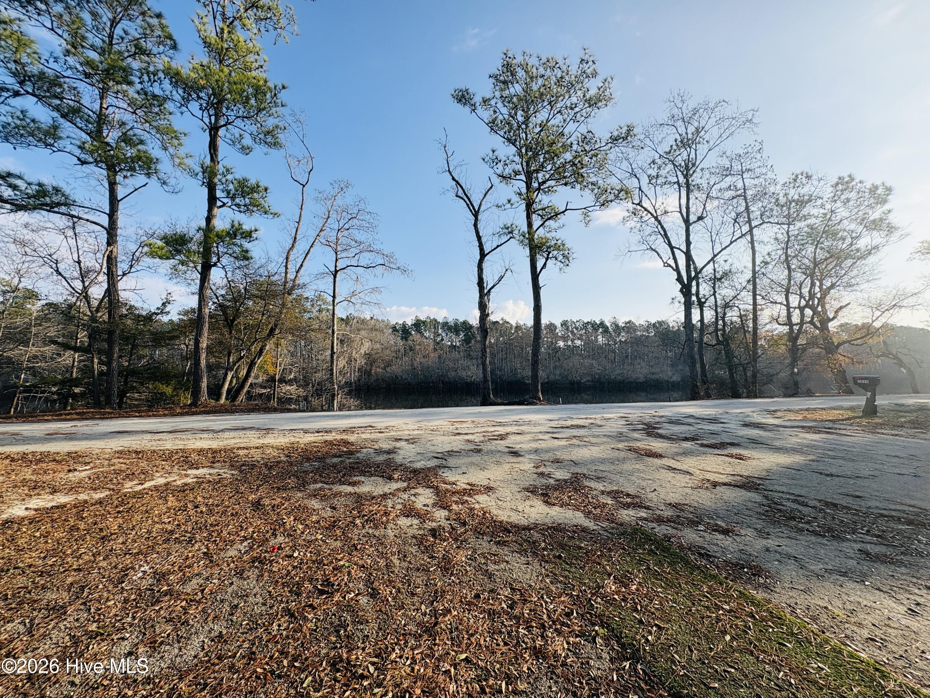 100534439 | Photo 21