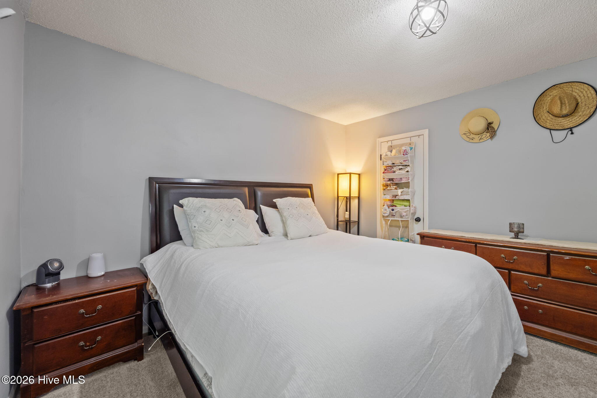 100569028 | Photo 33