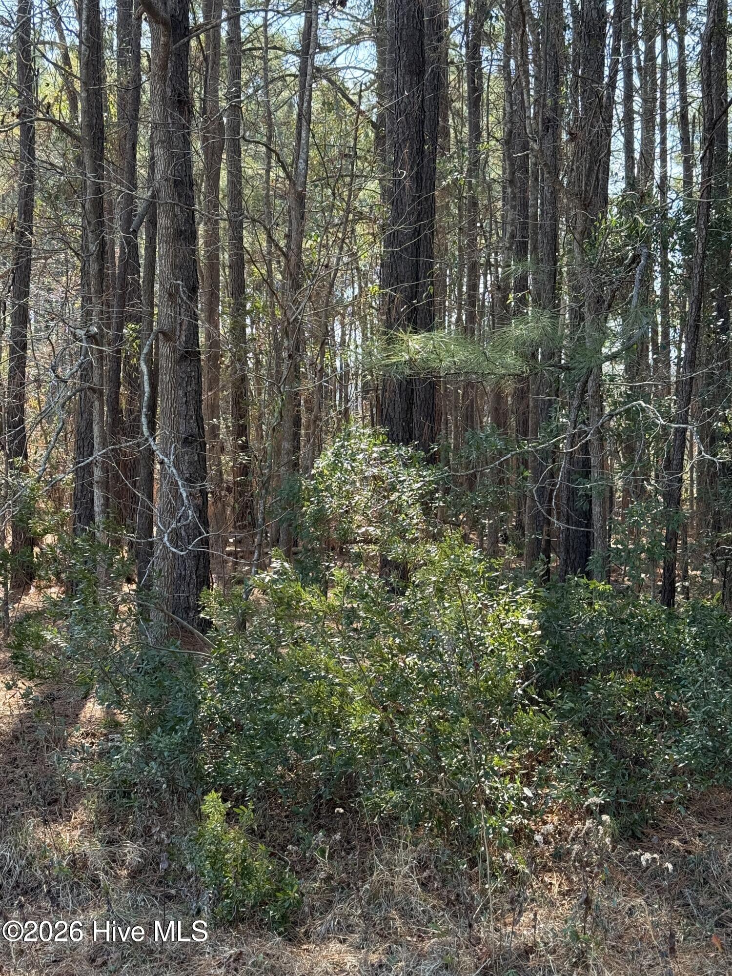 100554571 | Photo 13