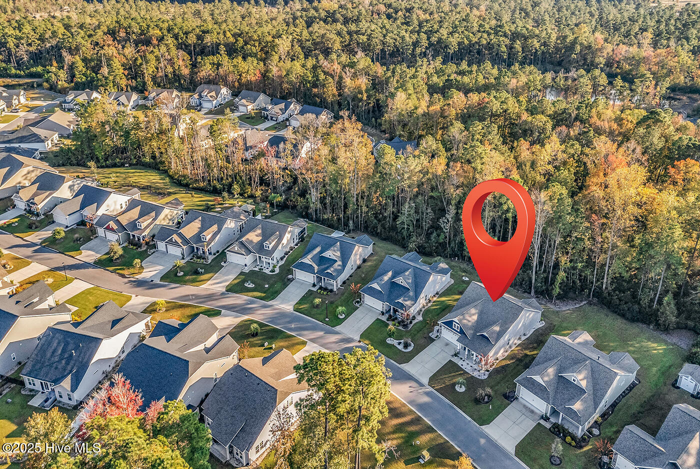 100539654 | Photo 53