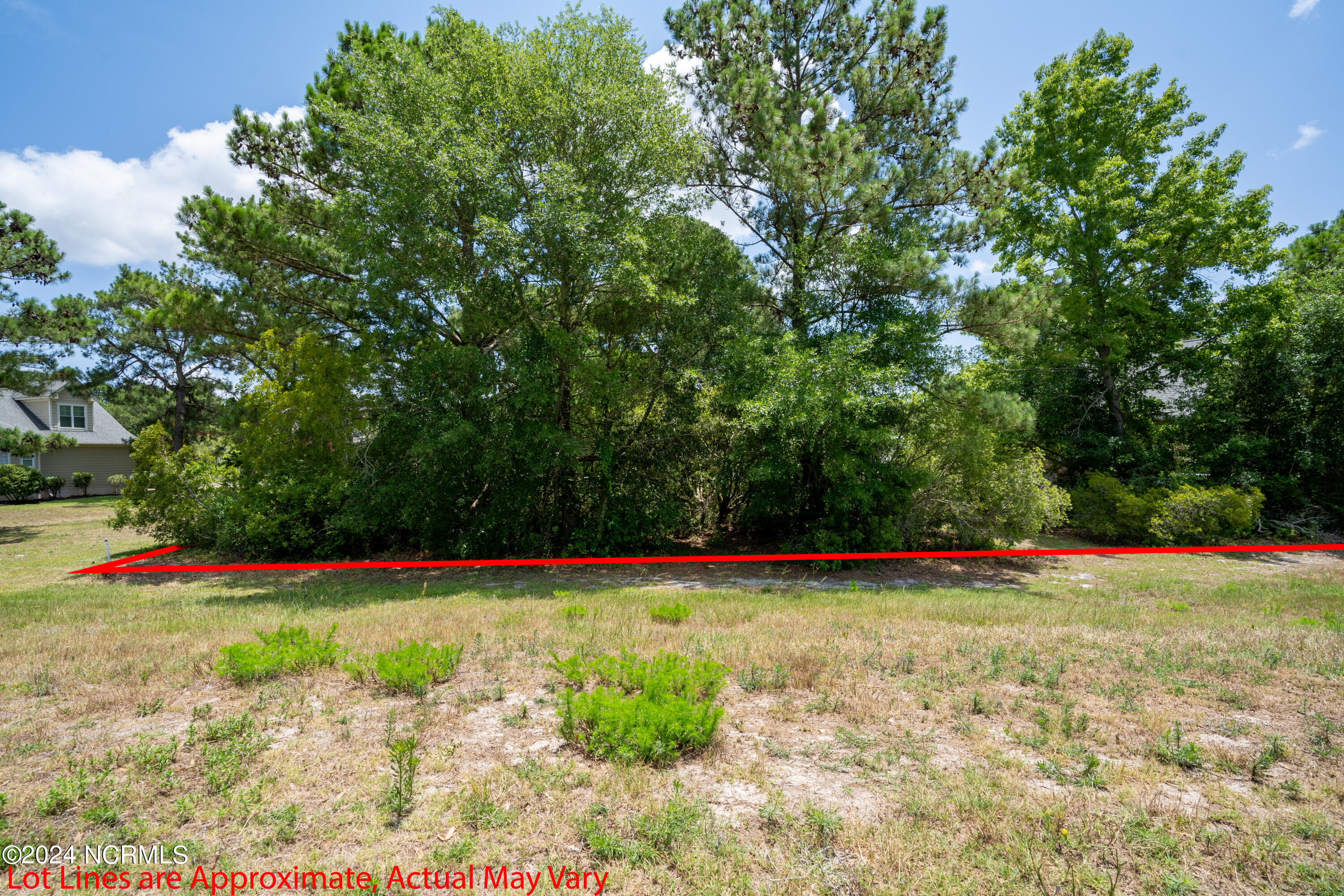 100460778 | Photo 15