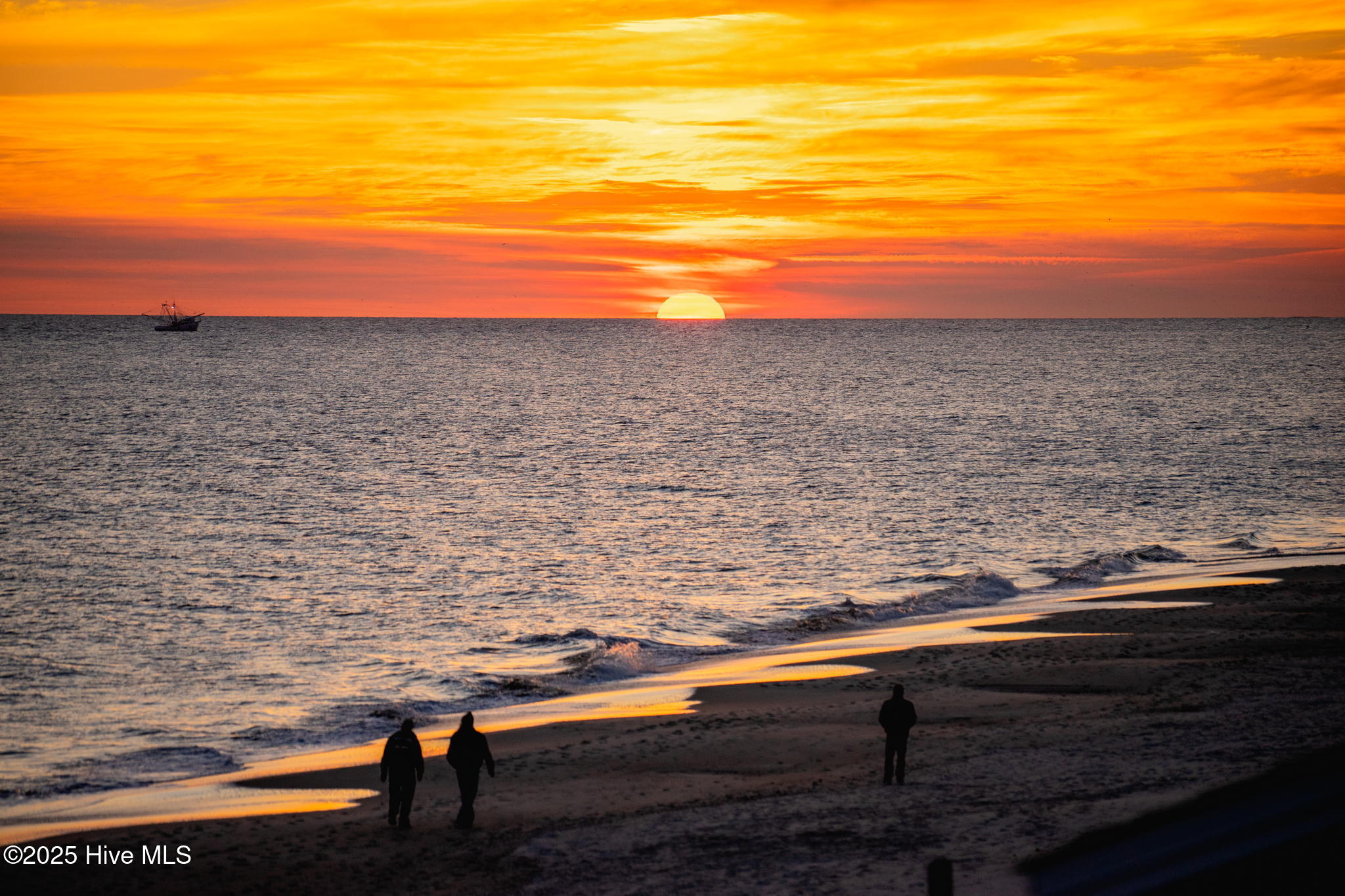 100522421 | Photo 91