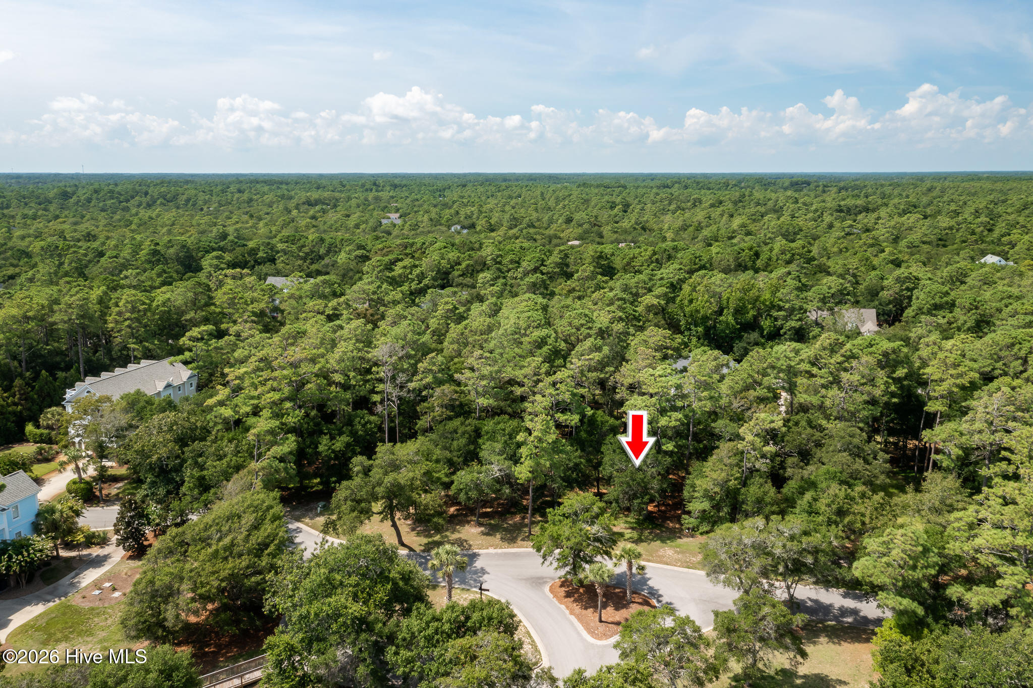 100559457 | Photo 10