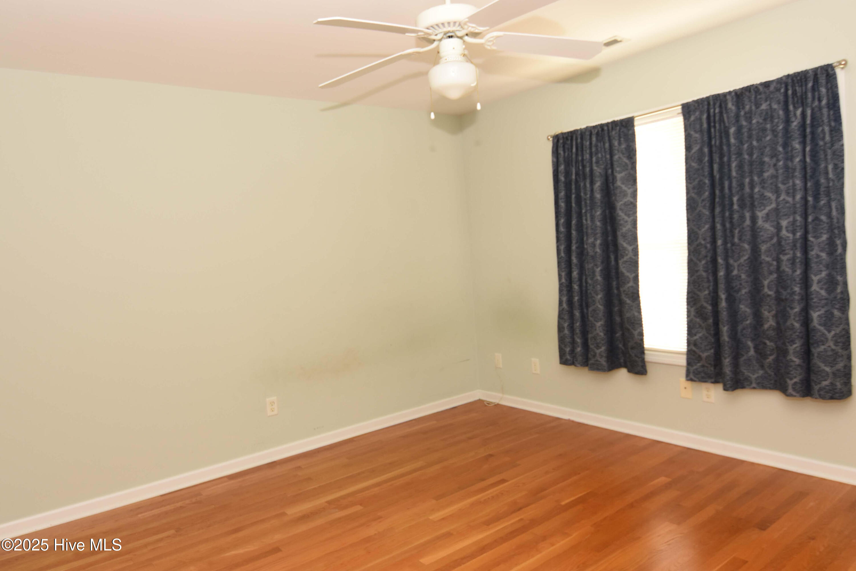 100521644 | Photo 15