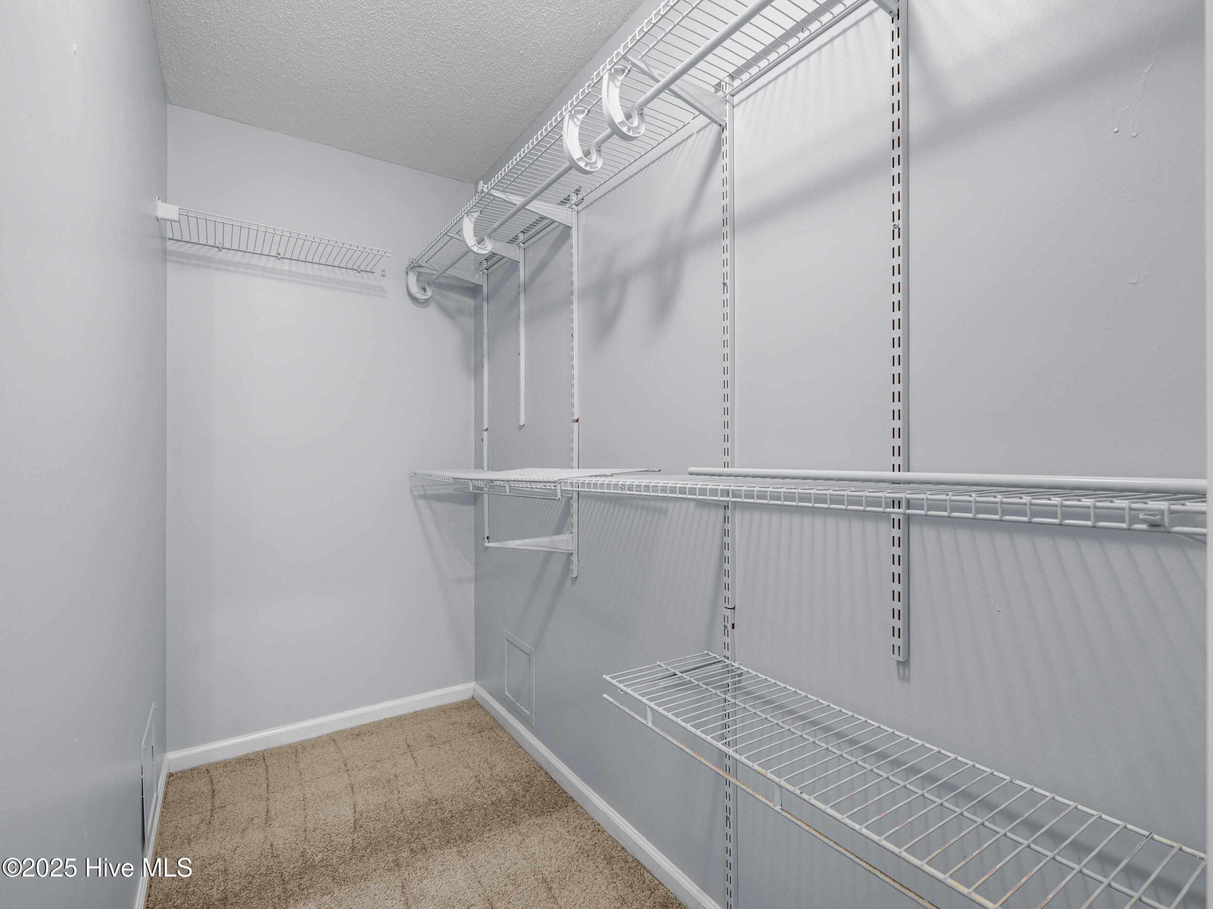 100543442 | Photo 24