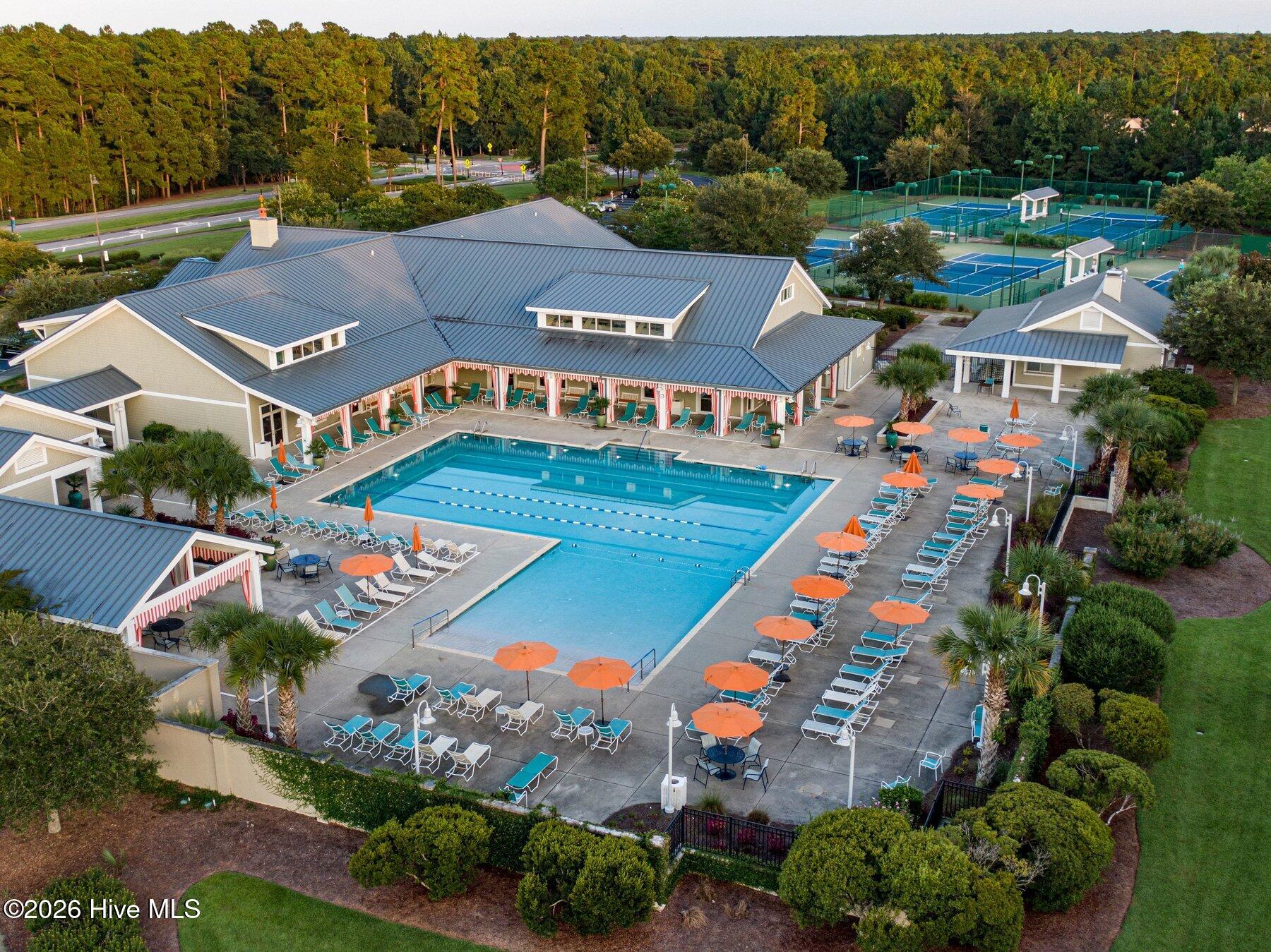 100558018 | Photo 55