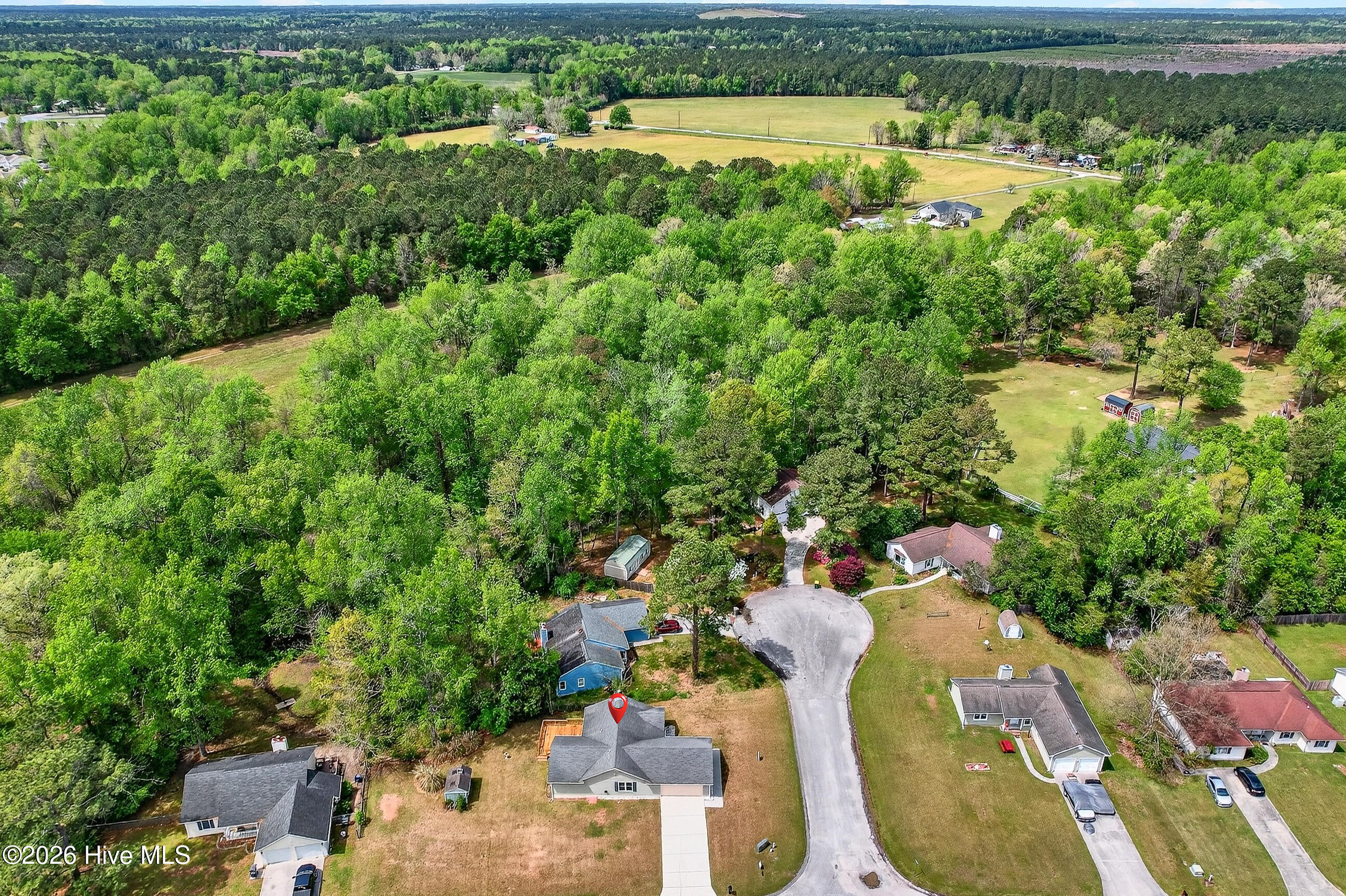 100565392 | Photo 31