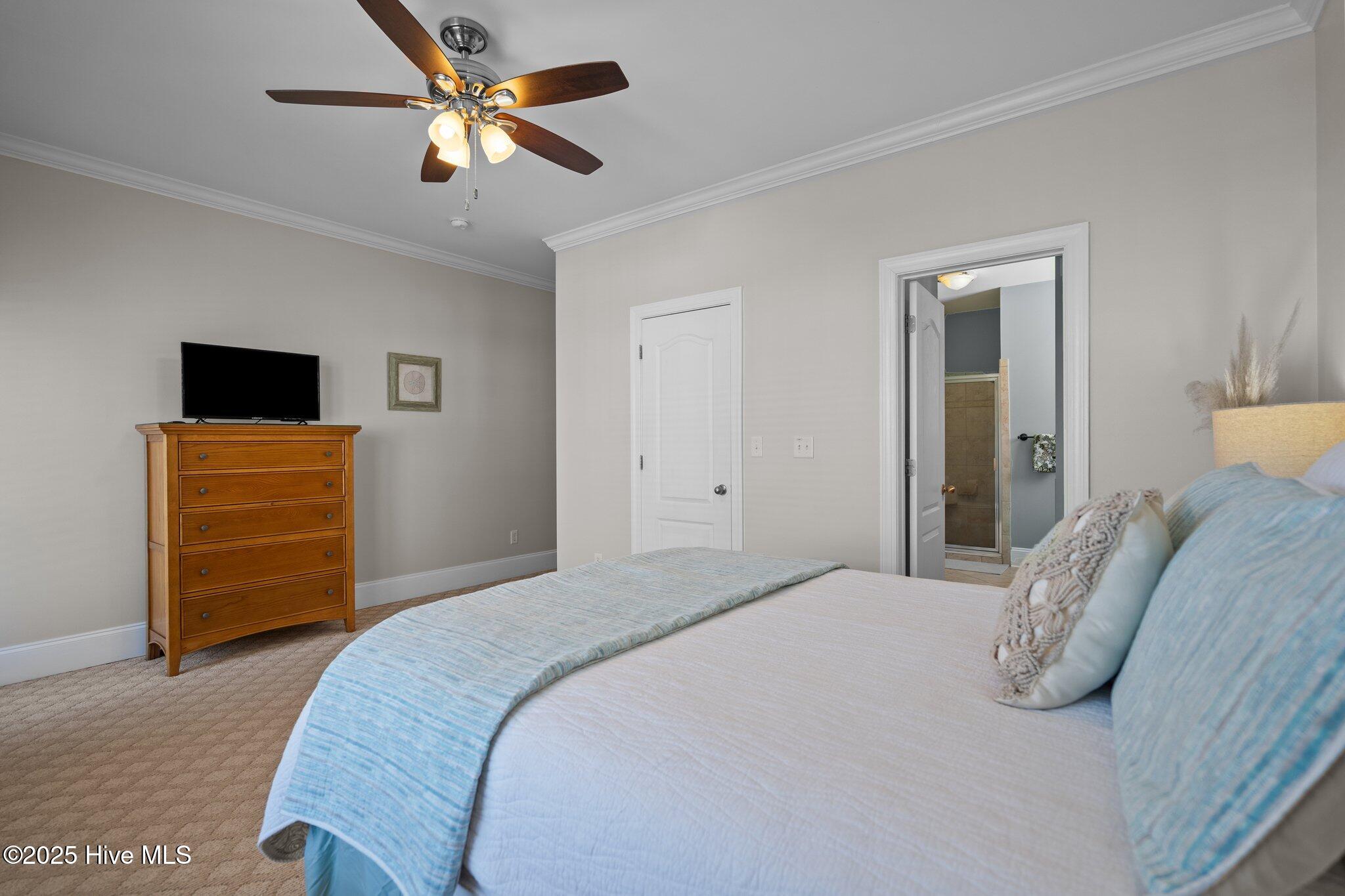 100500957 | Photo 28