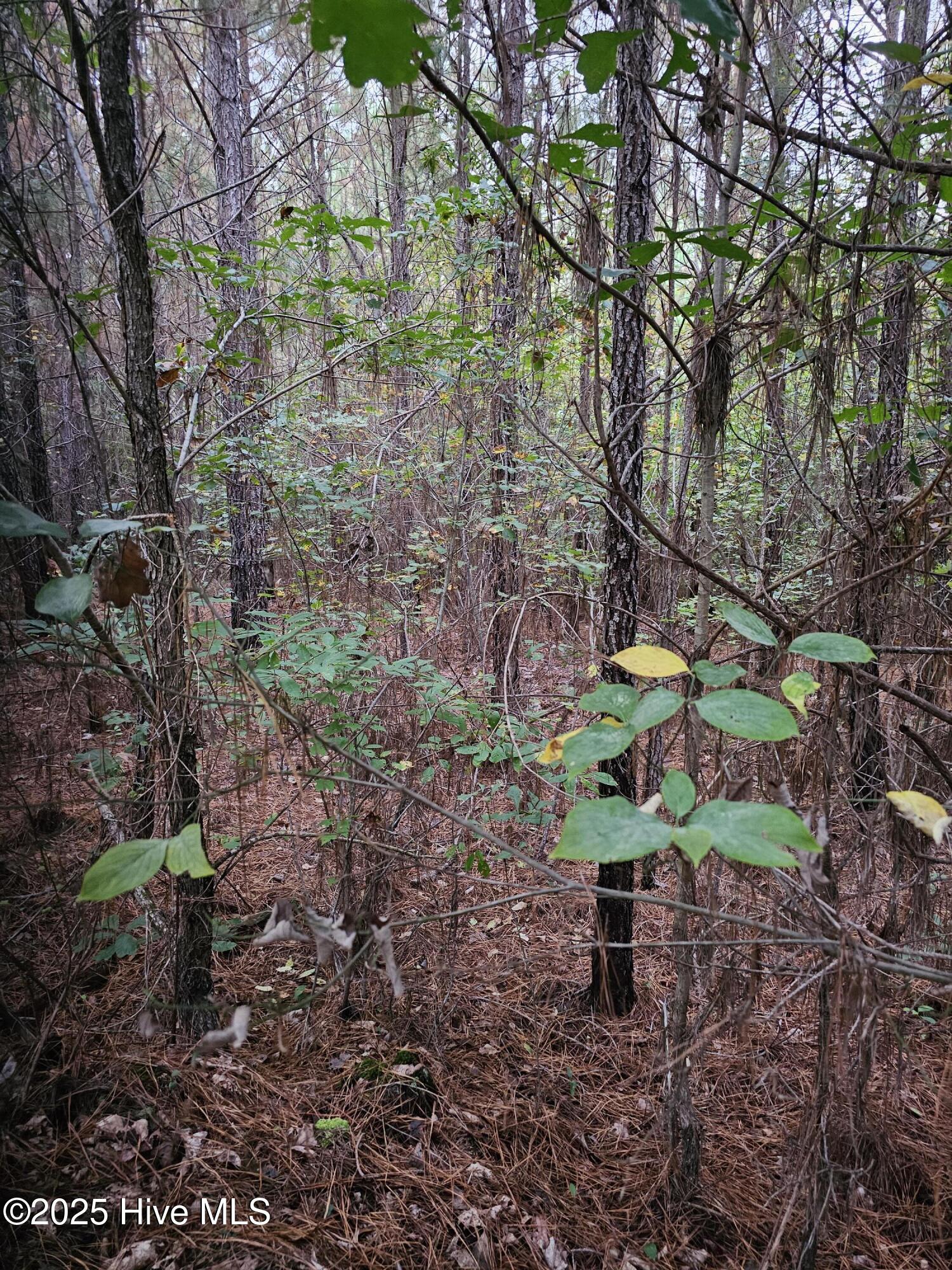 0 Carbonton Road, Sanford, NC, 27330