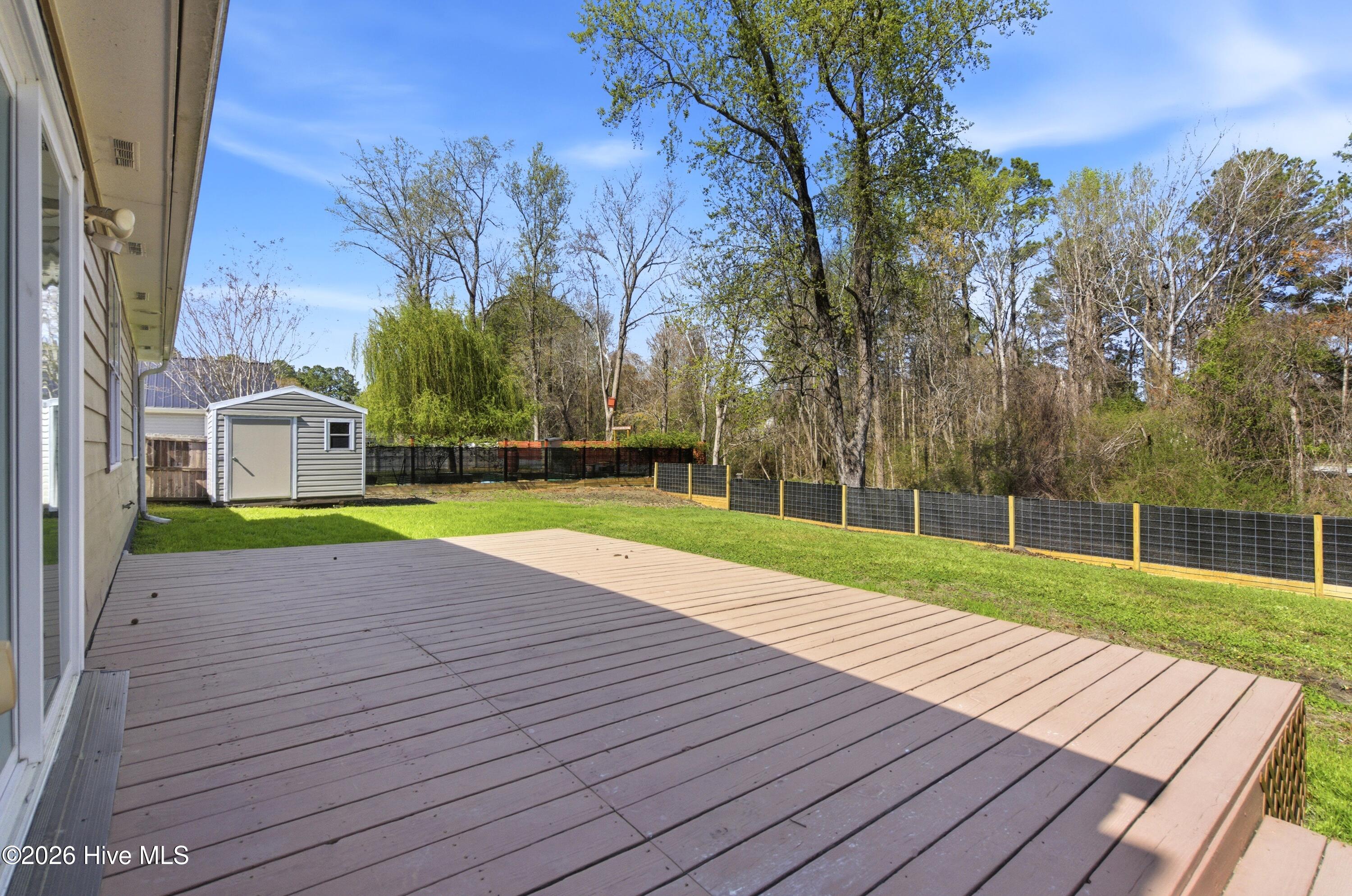 100561176 | Photo 41