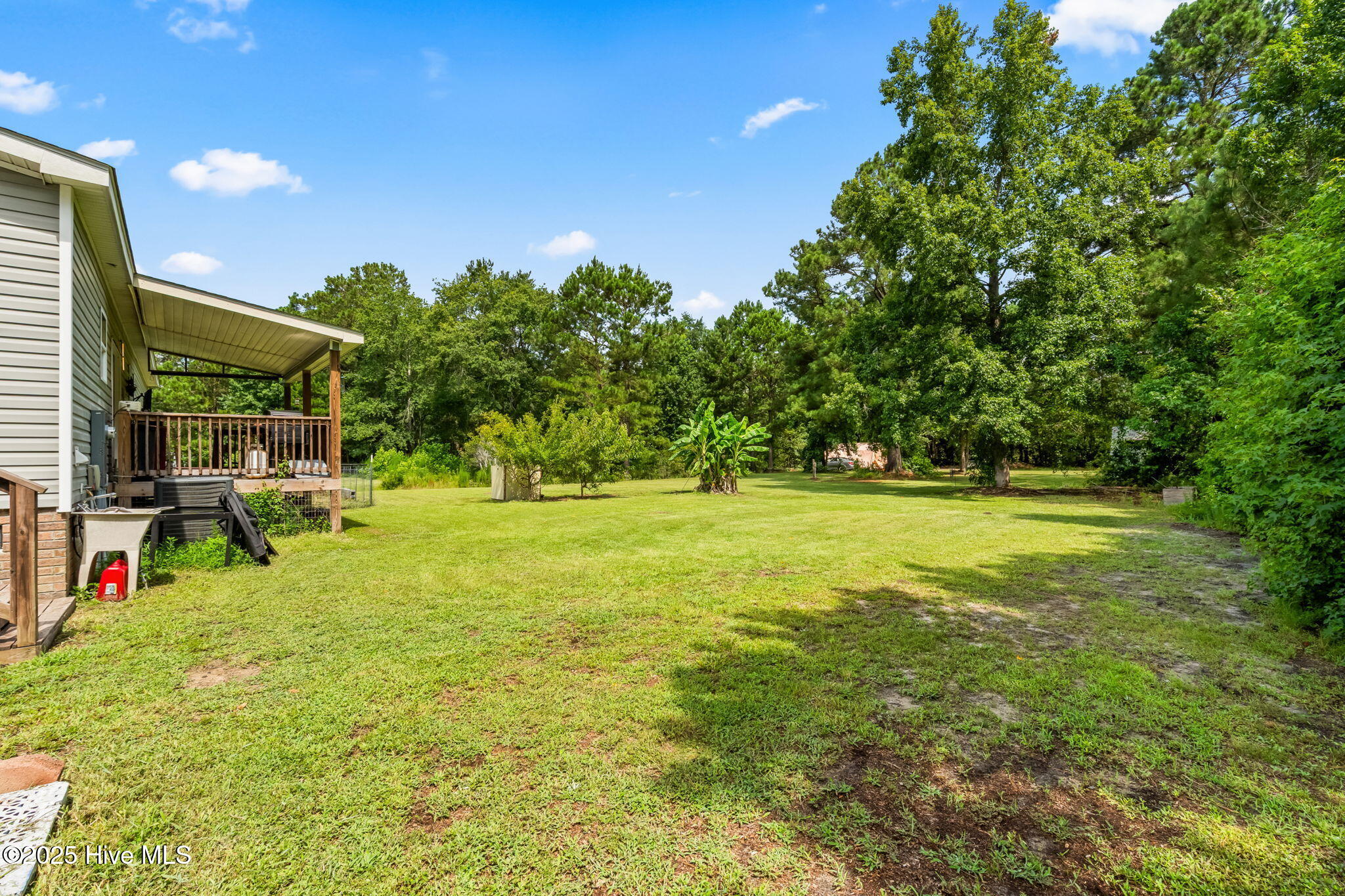 100518984 | Photo 25