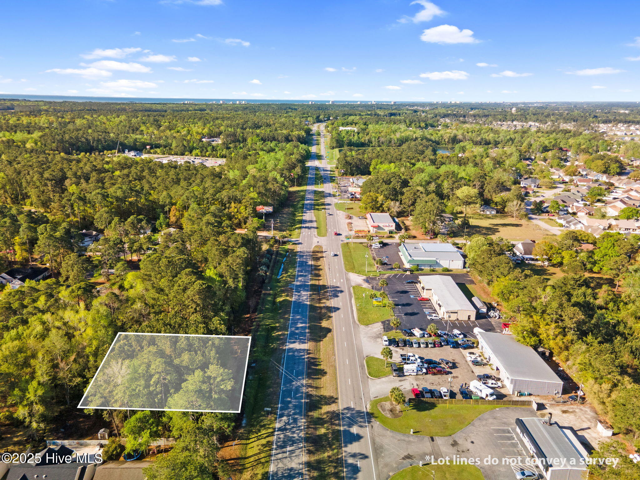 100541334 | Photo 11