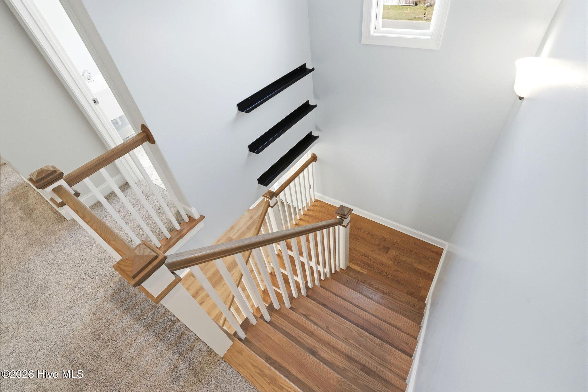 100562109 | Photo 39