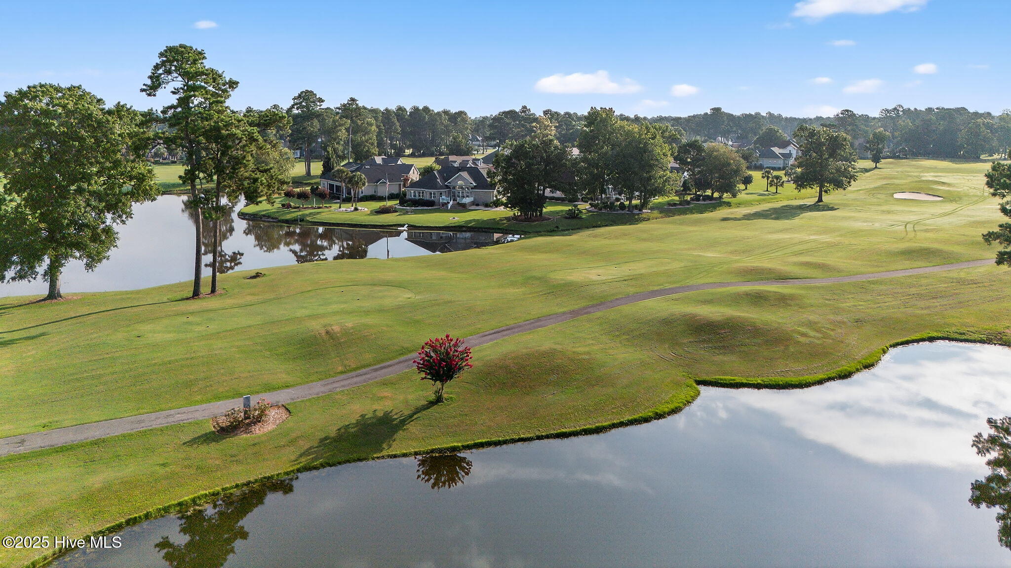 100522503 | Photo 35