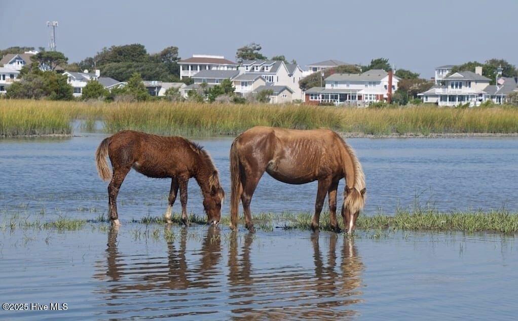 1524 Ann Street, Beaufort, NC, 28516