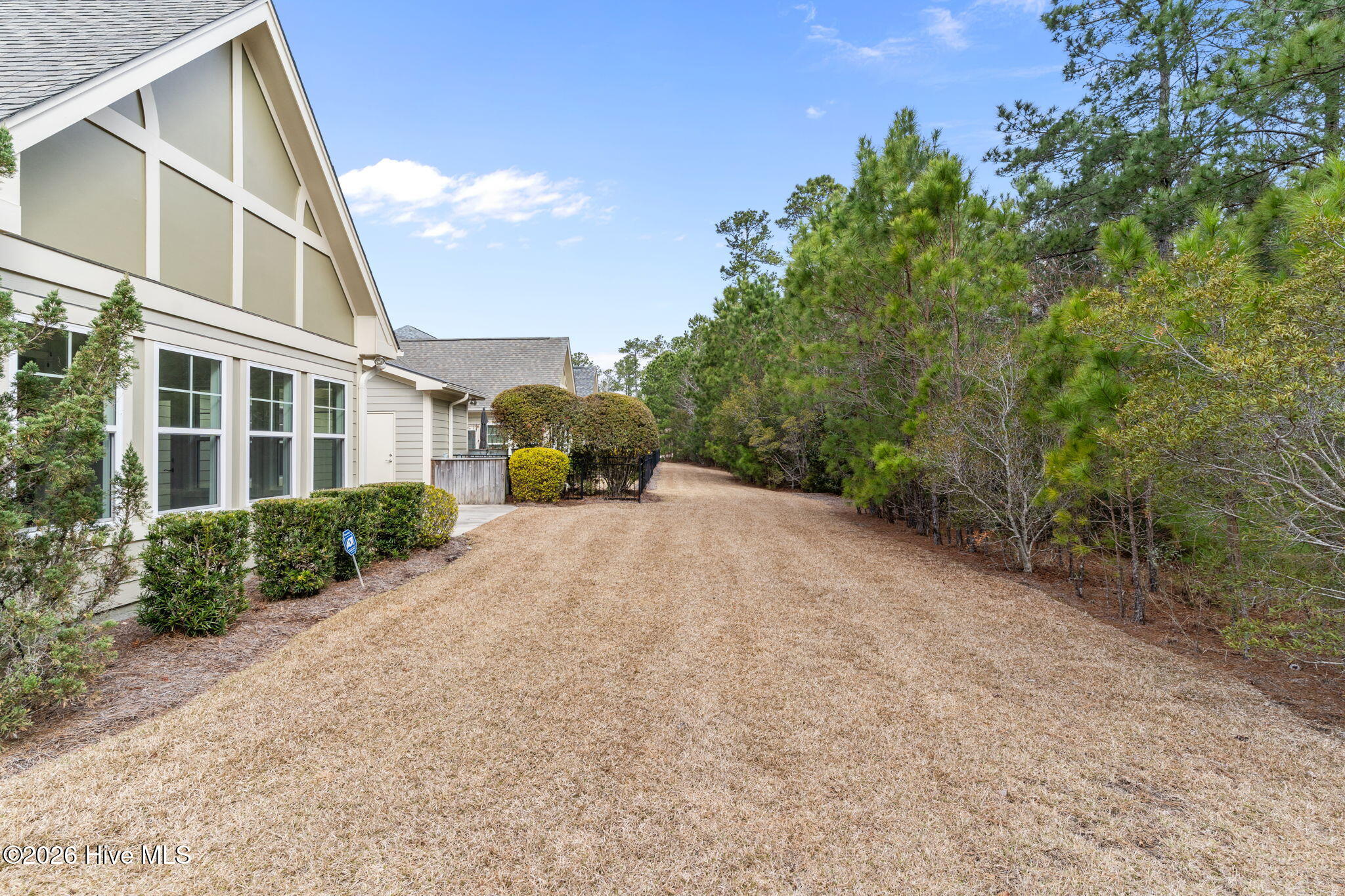 100558174 | Photo 35