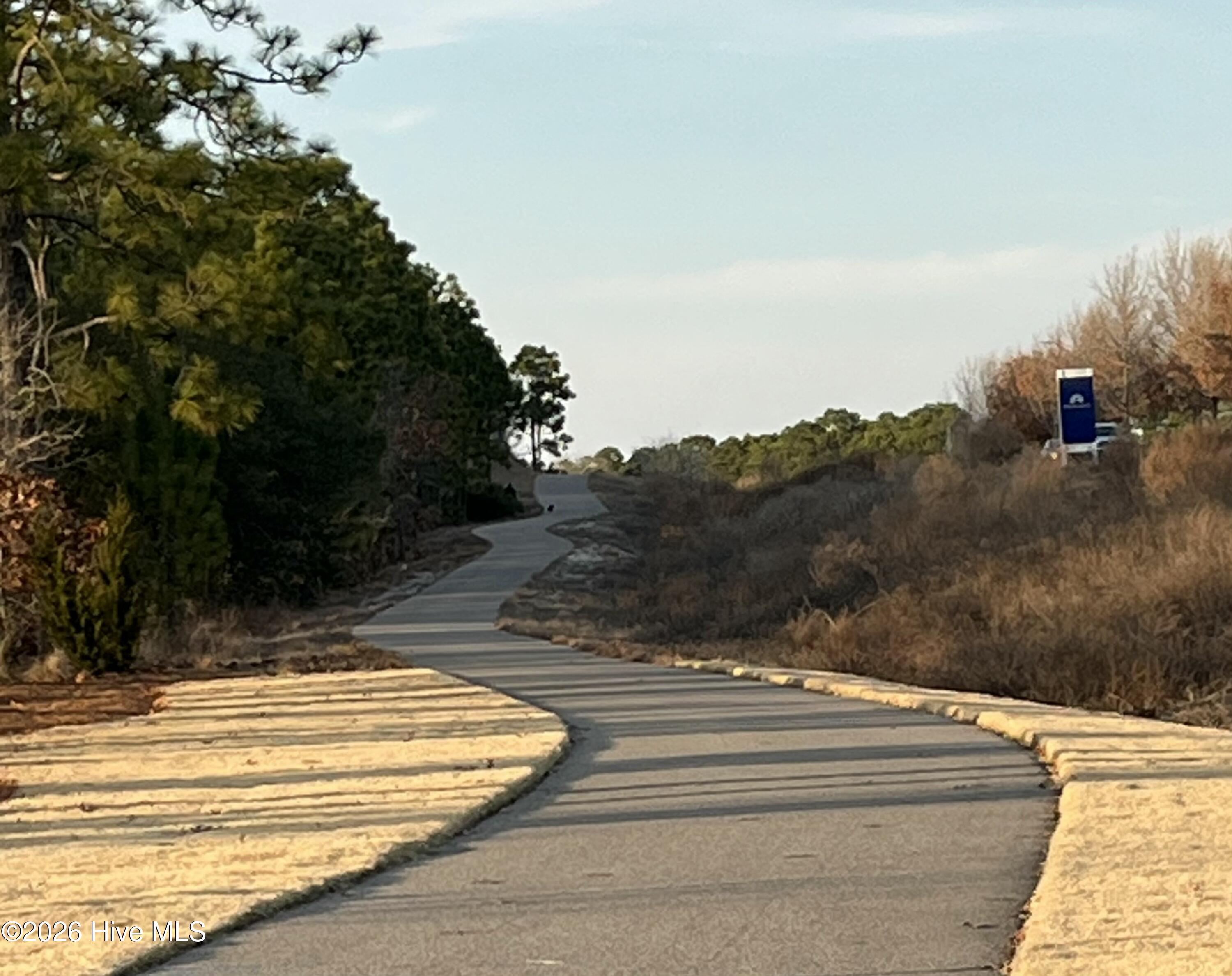 100554120 | Photo 98