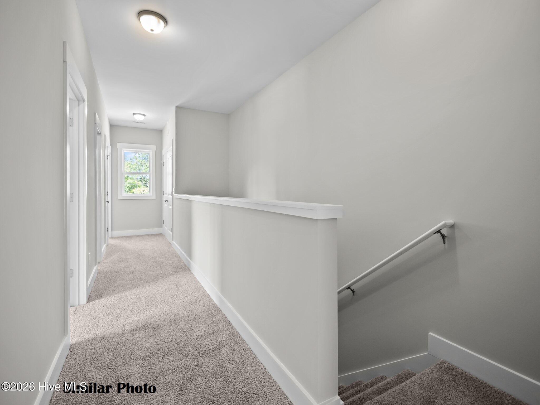 100549836 | Photo 31