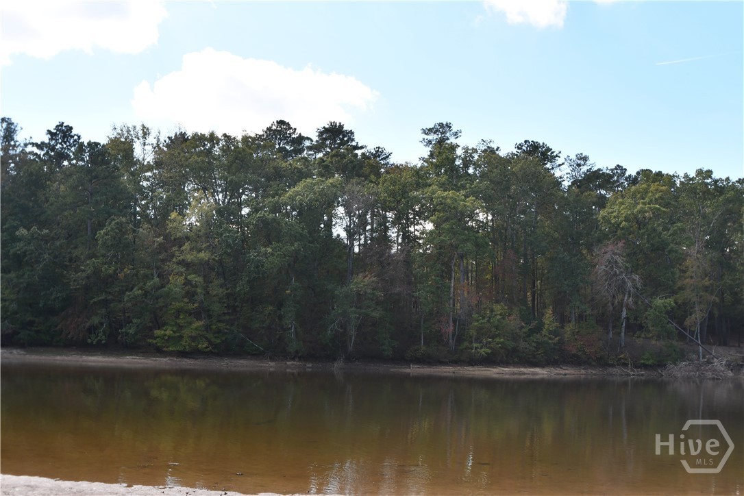 Homes for sale in Tignall, GA | 1198 Sunset Cvs, Tignall, GA 30668 | MLS# CL335001