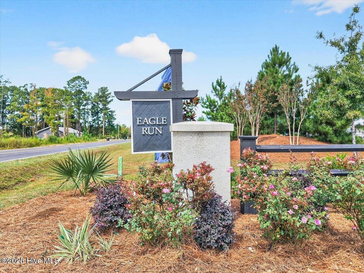 100532427 | Photo 43