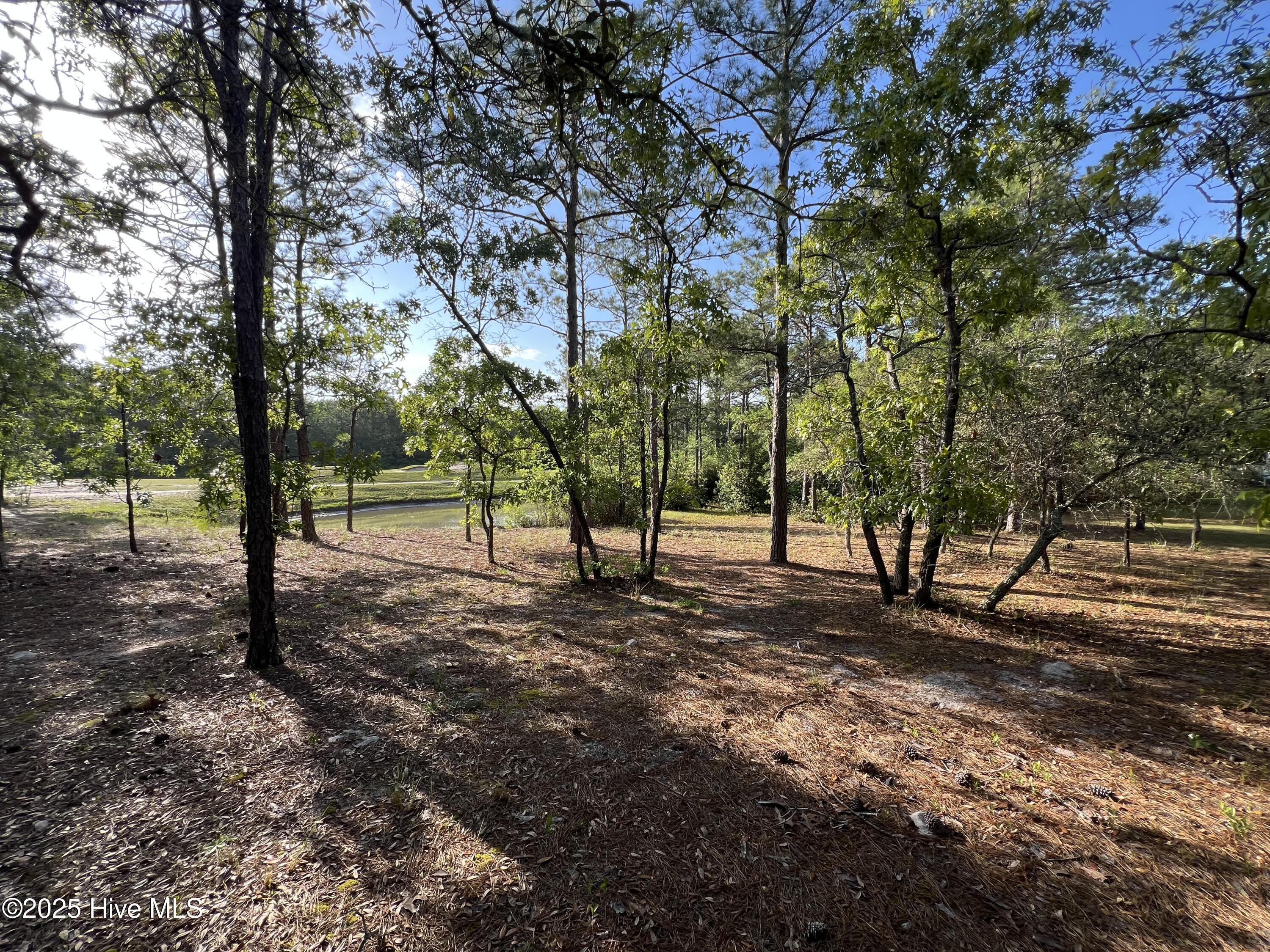 100506027 | Photo 29