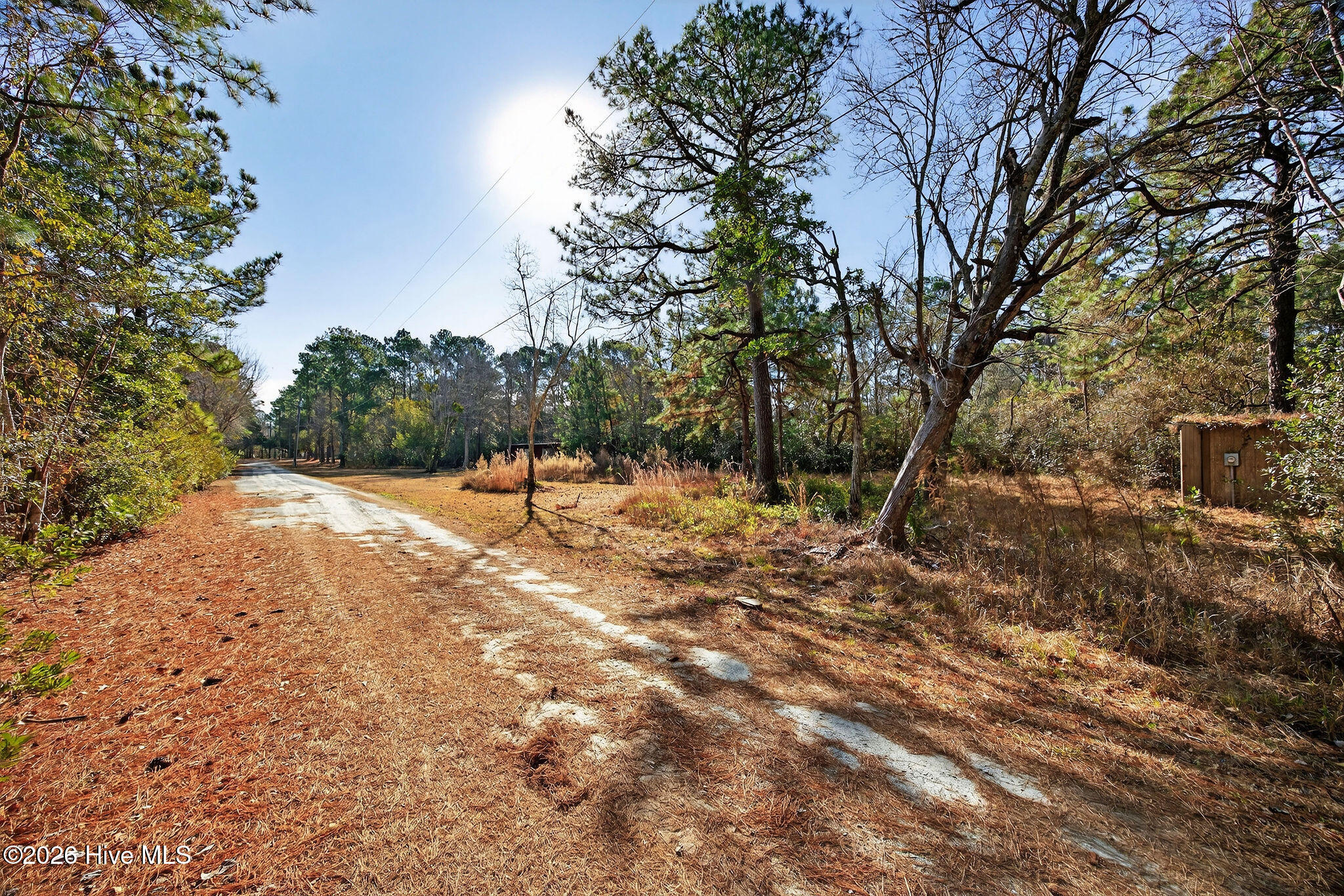 100552398 | Photo 29