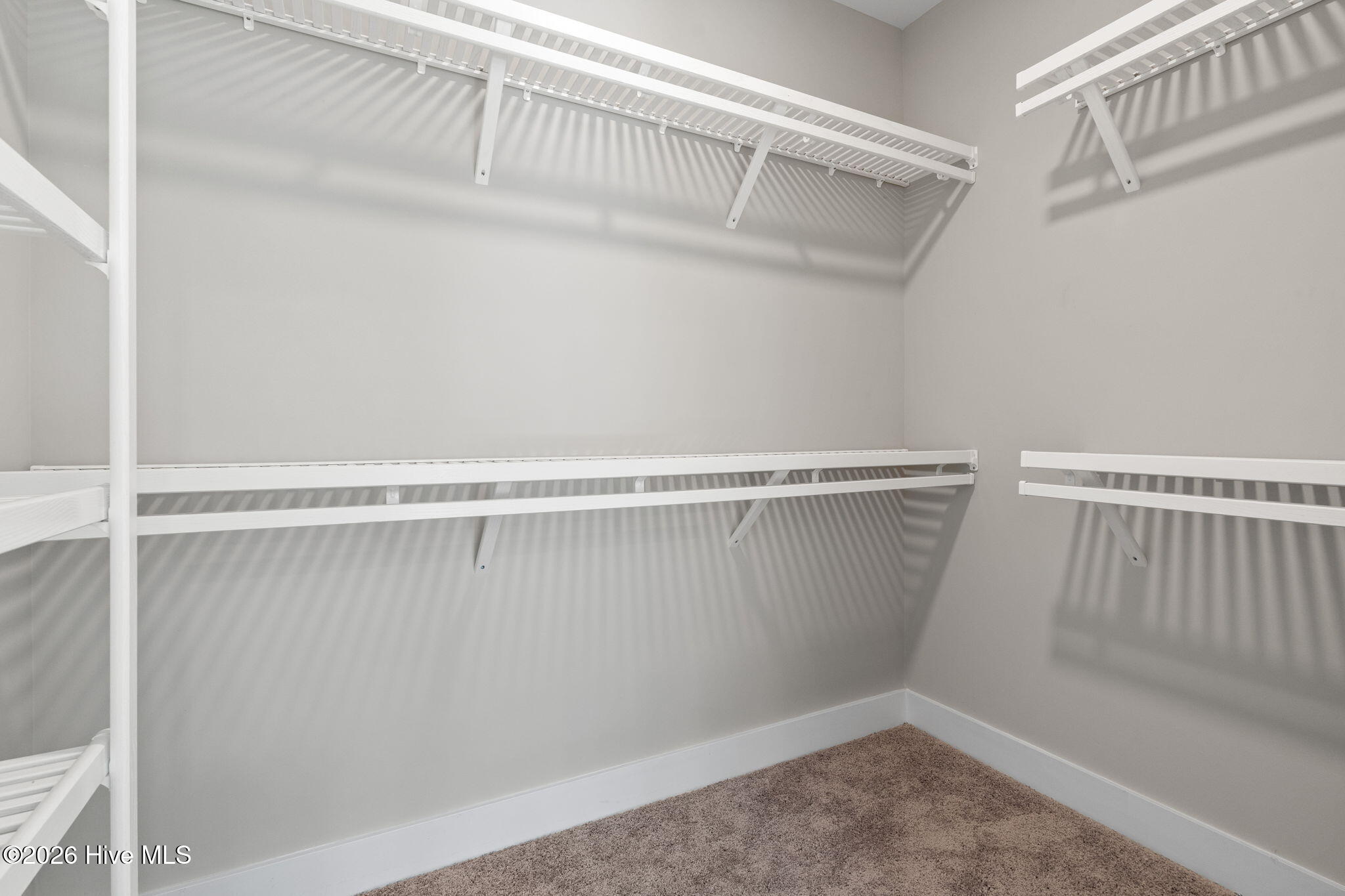 100537581 | Photo 34