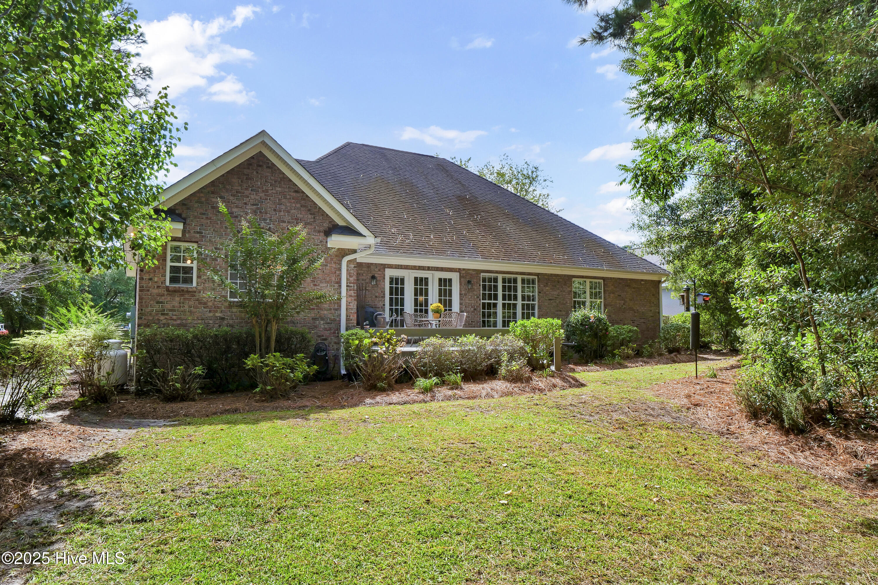 100533946 | Photo 45