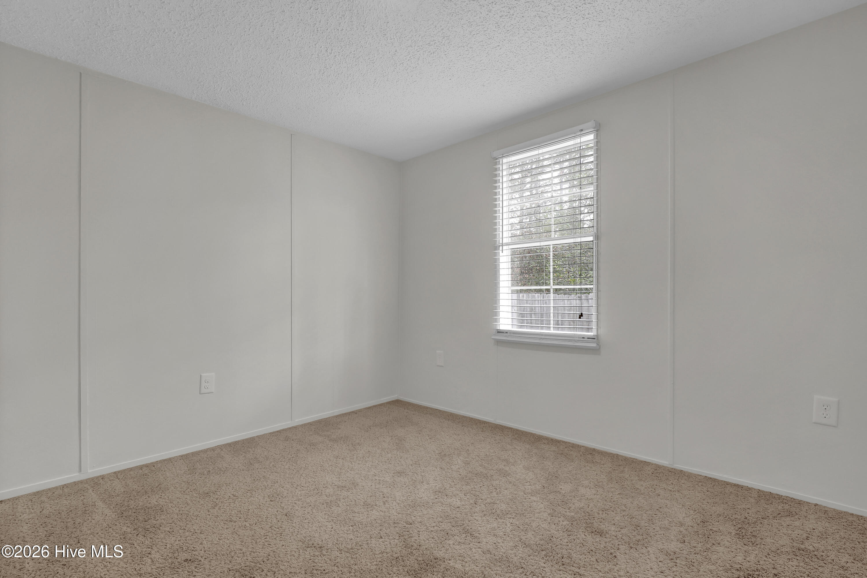 100558020 | Photo 25