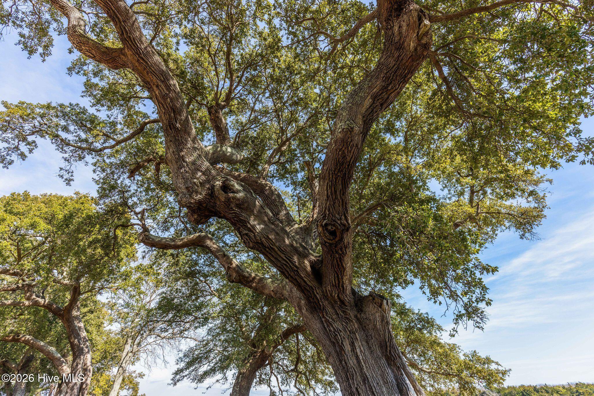 1.75ac Flamingo Lane, Sneads Ferry, NC, 28460