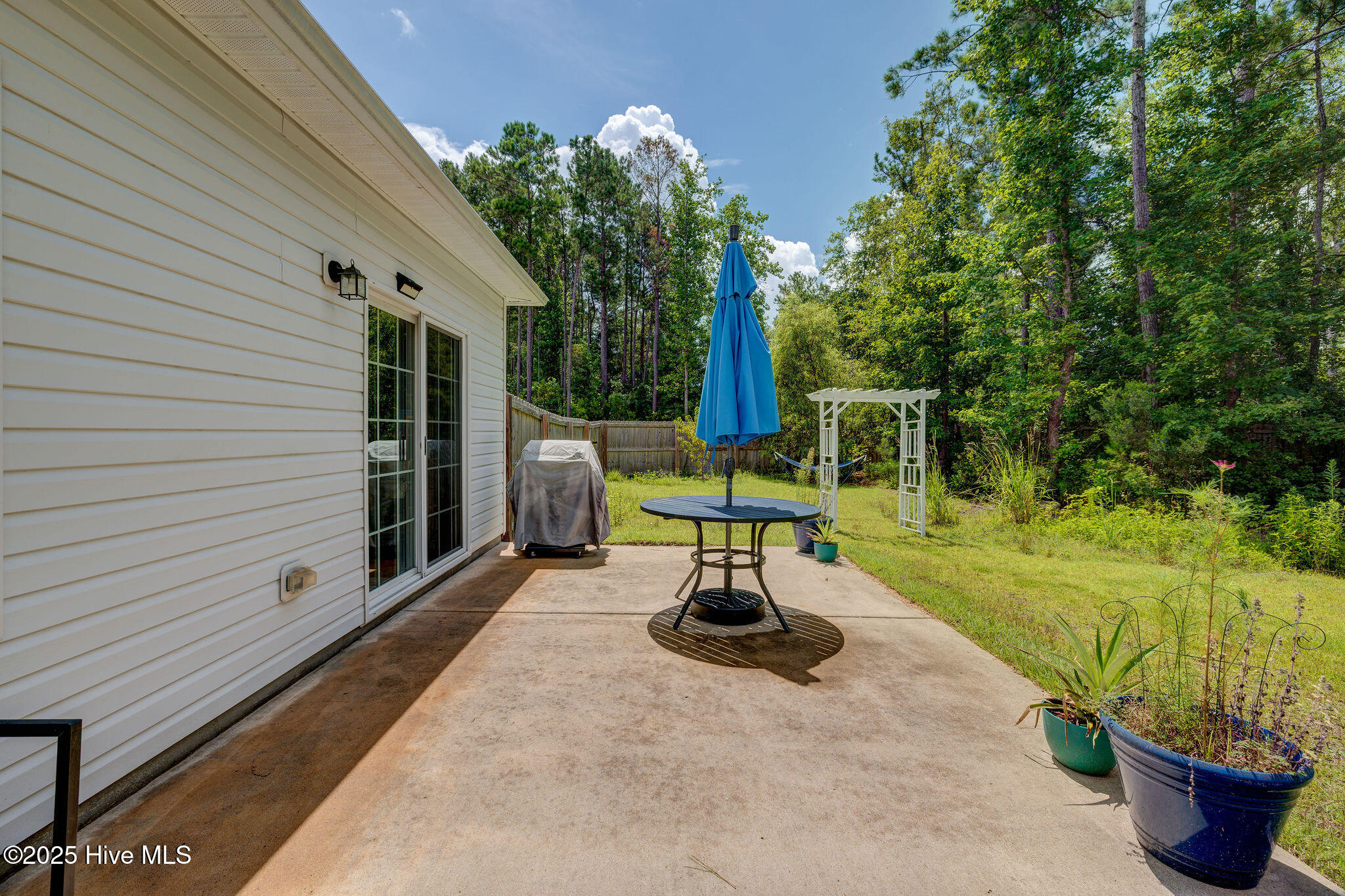 100522244 | Photo 38