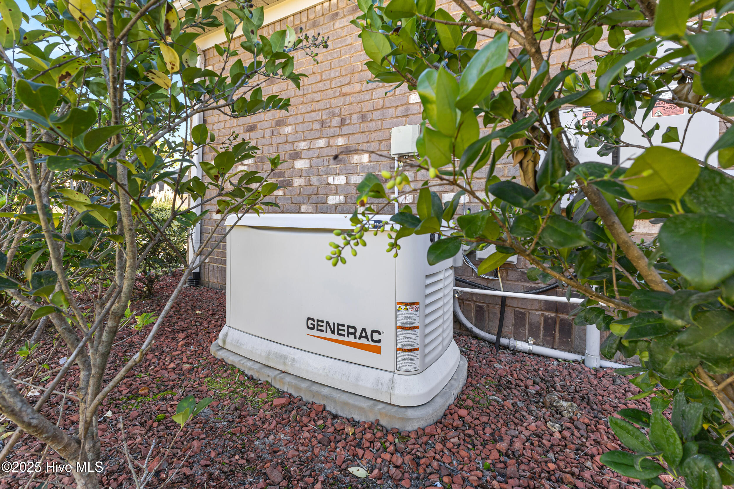 100539412 | Photo 29