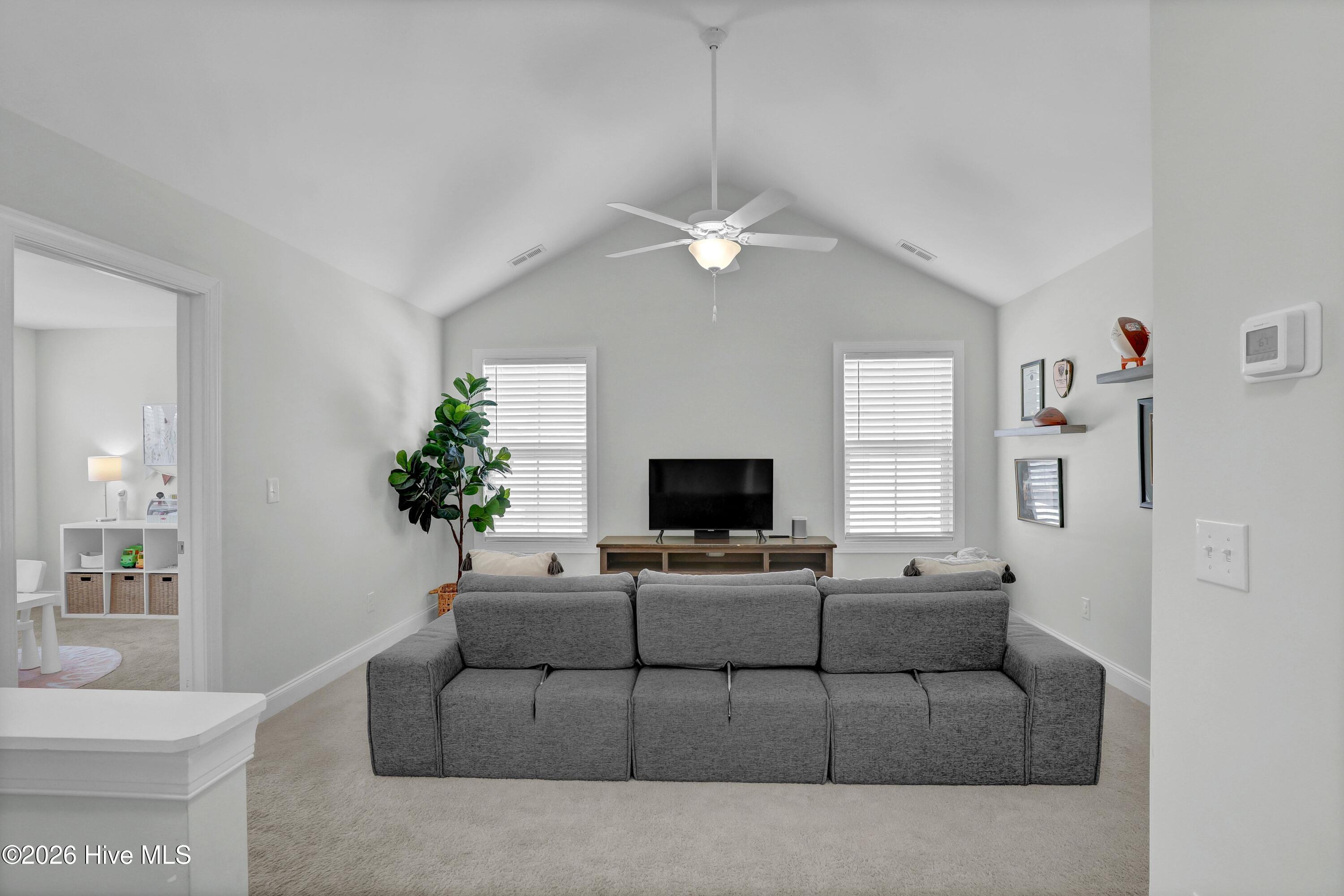 100562684 | Photo 25