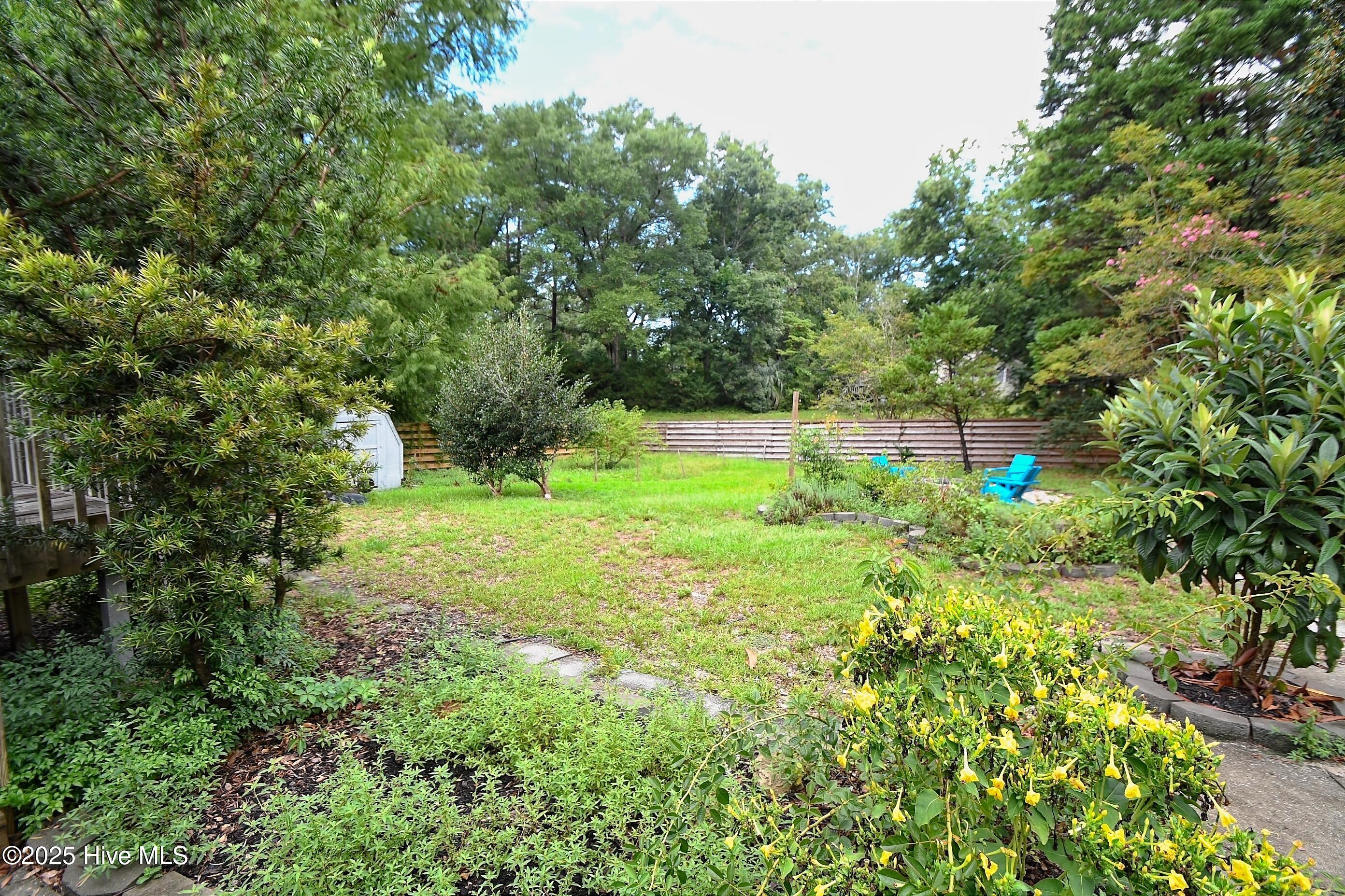 100523819 | Photo 13