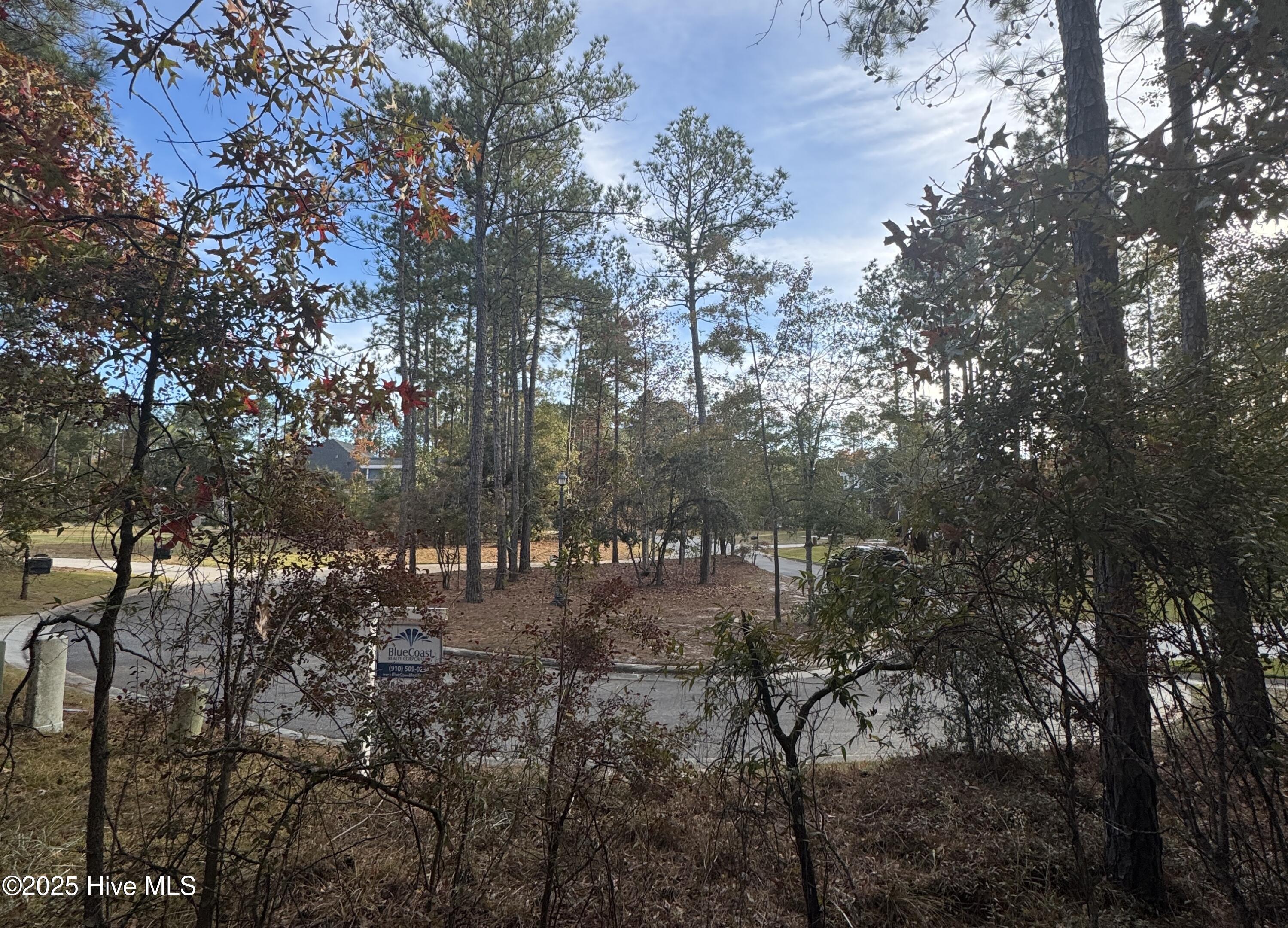 100541965 | Photo 11