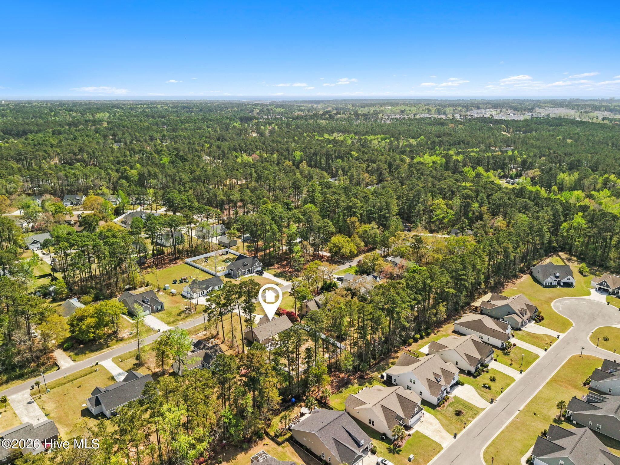 100564721 | Photo 67