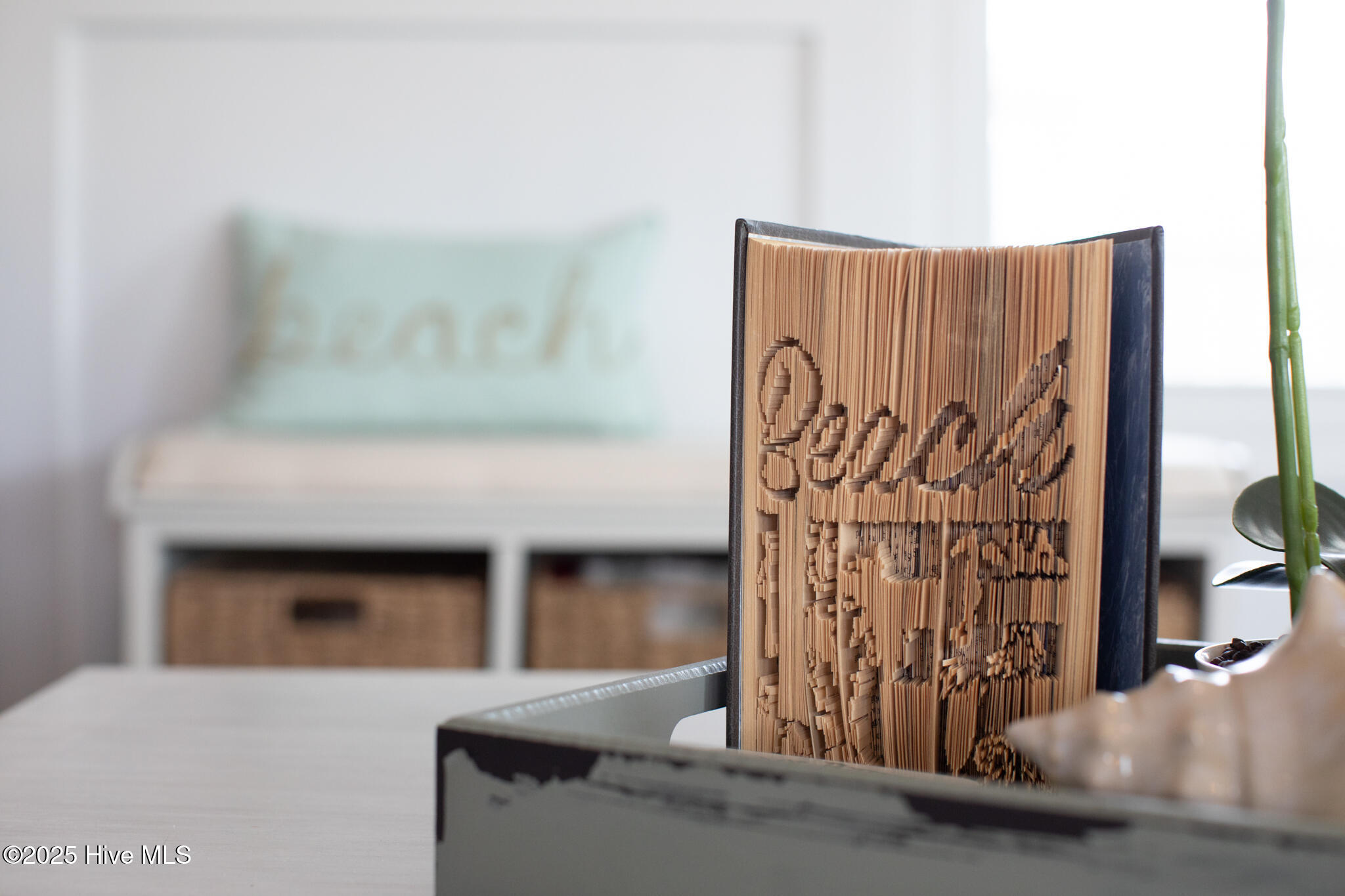 100507541 | Photo 67