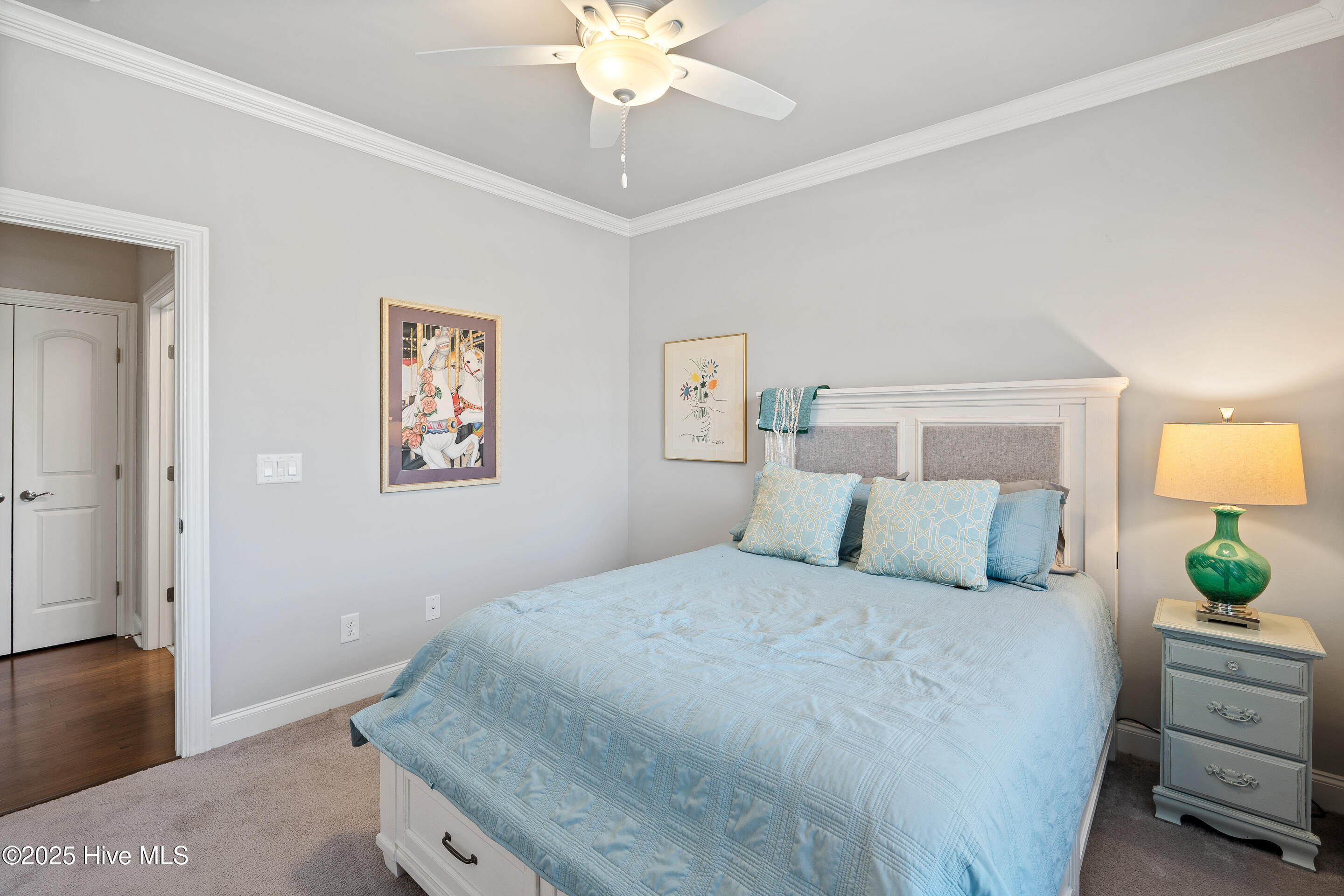 100542955 | Photo 34