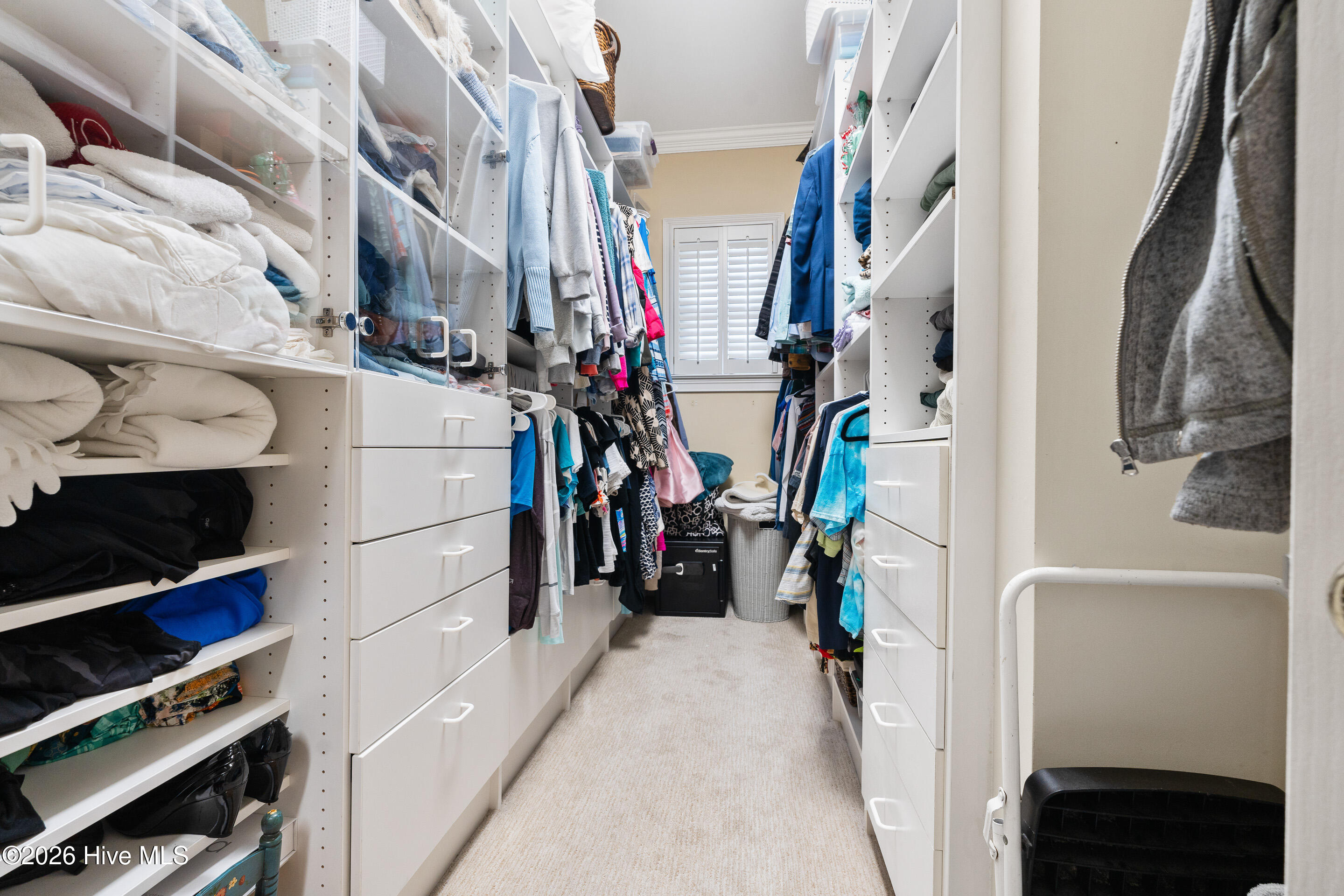 100552027 | Photo 41