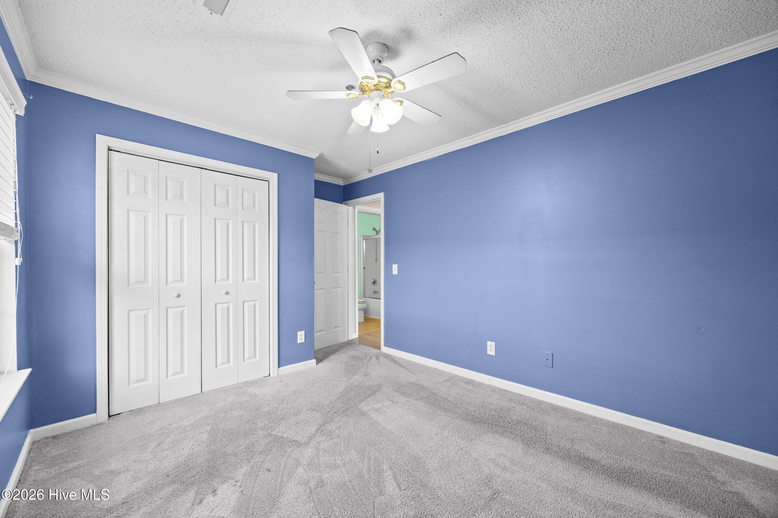 100564303 | Photo 12