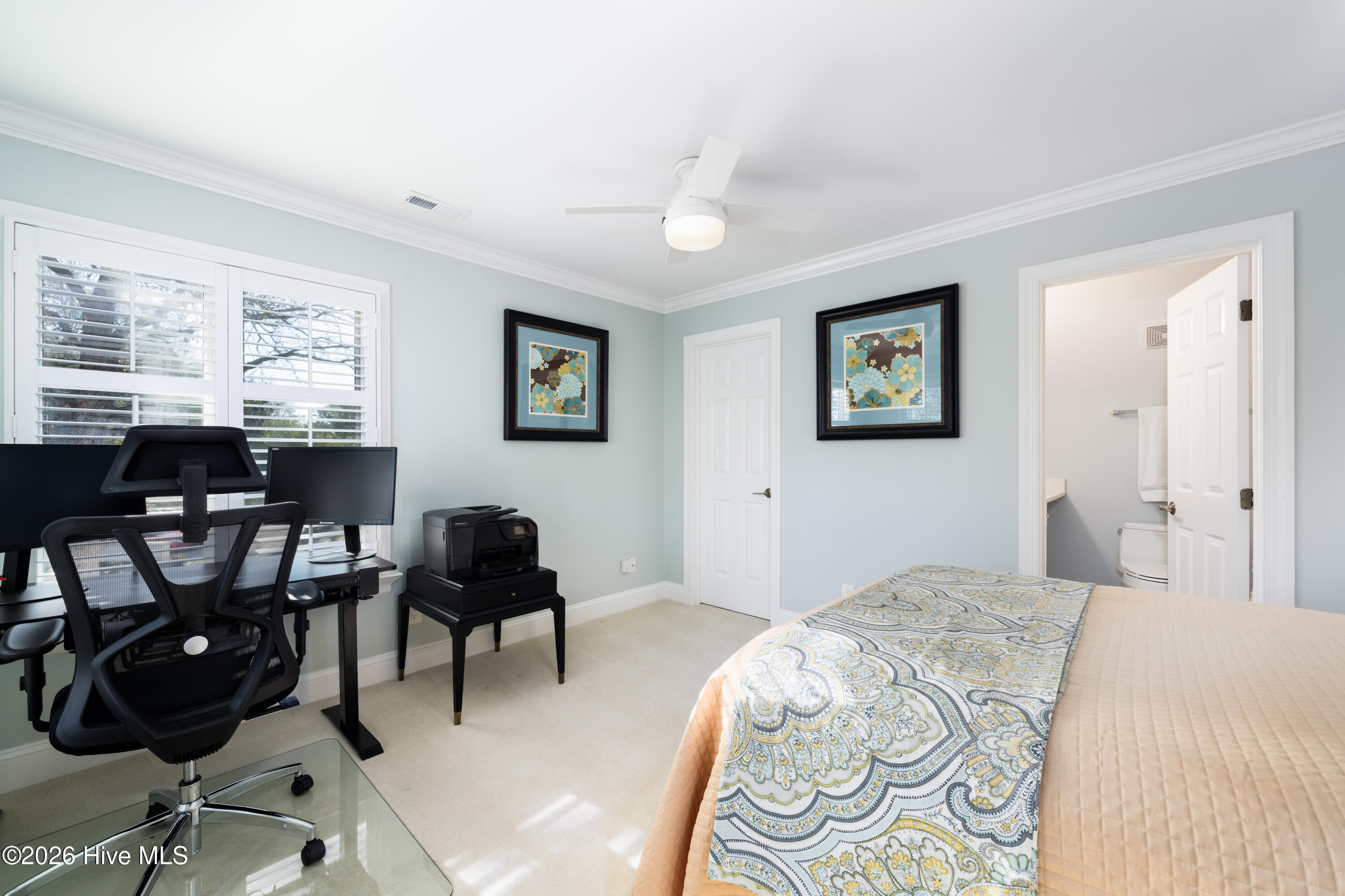 100553982 | Photo 35