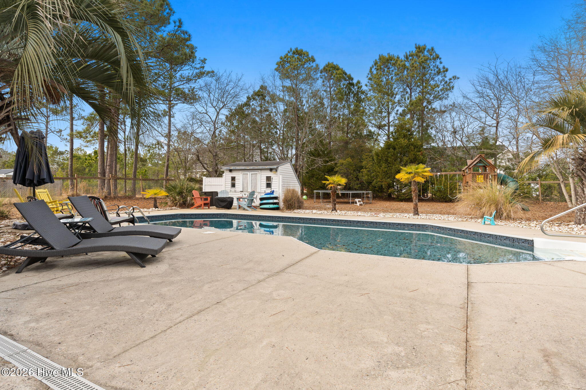 100556346 | Photo 25