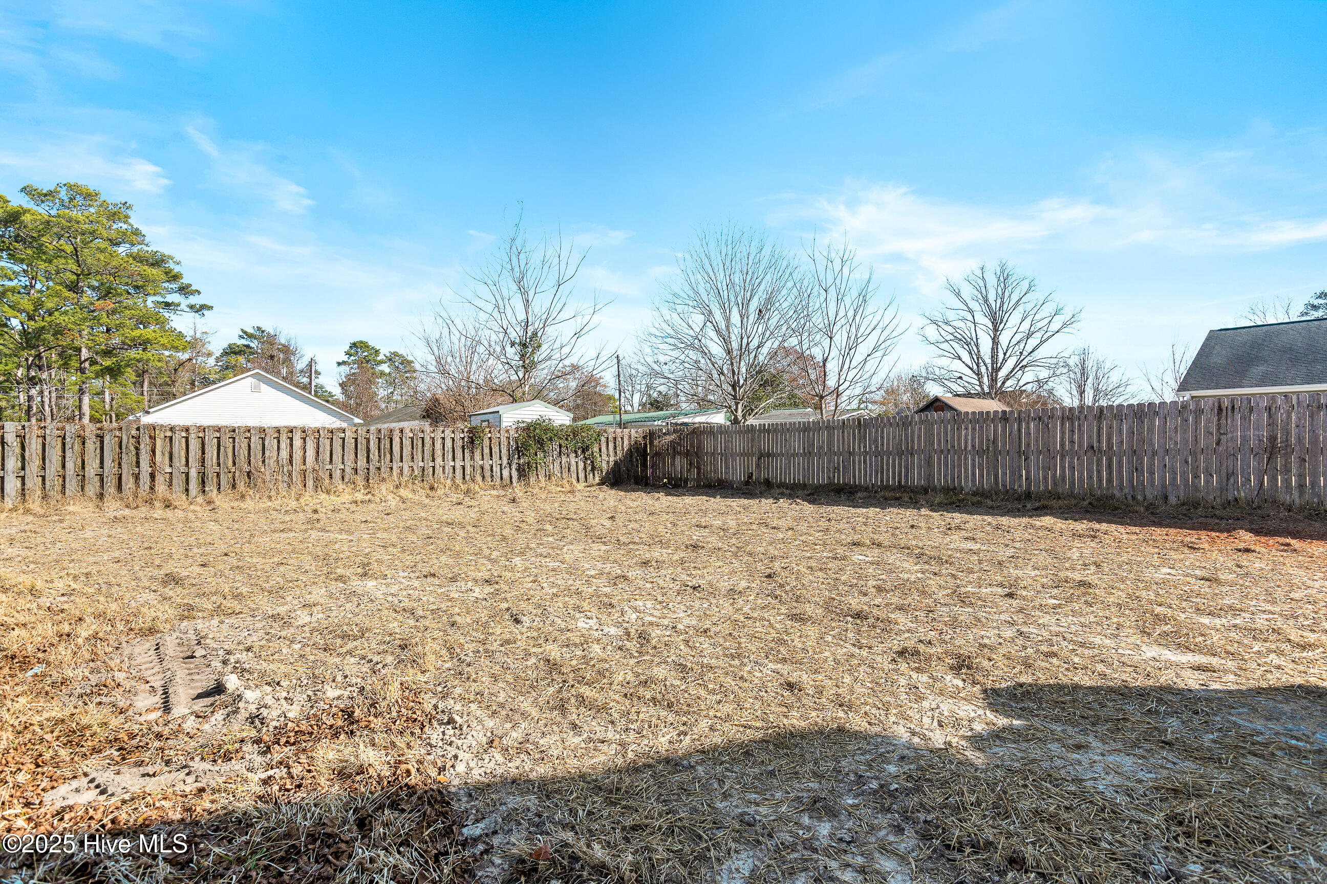 100546129 | Photo 30