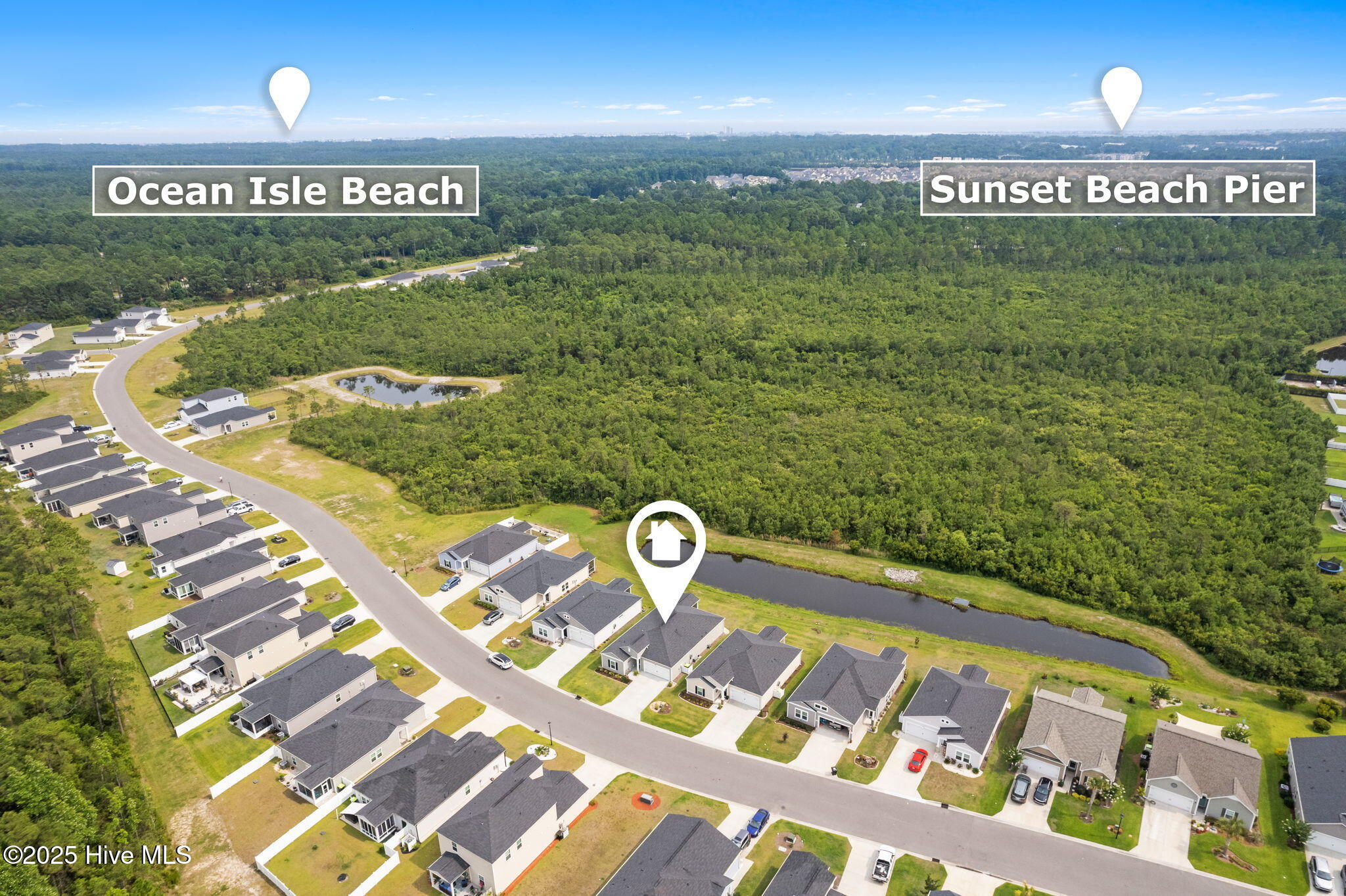 100516029 | Photo 42