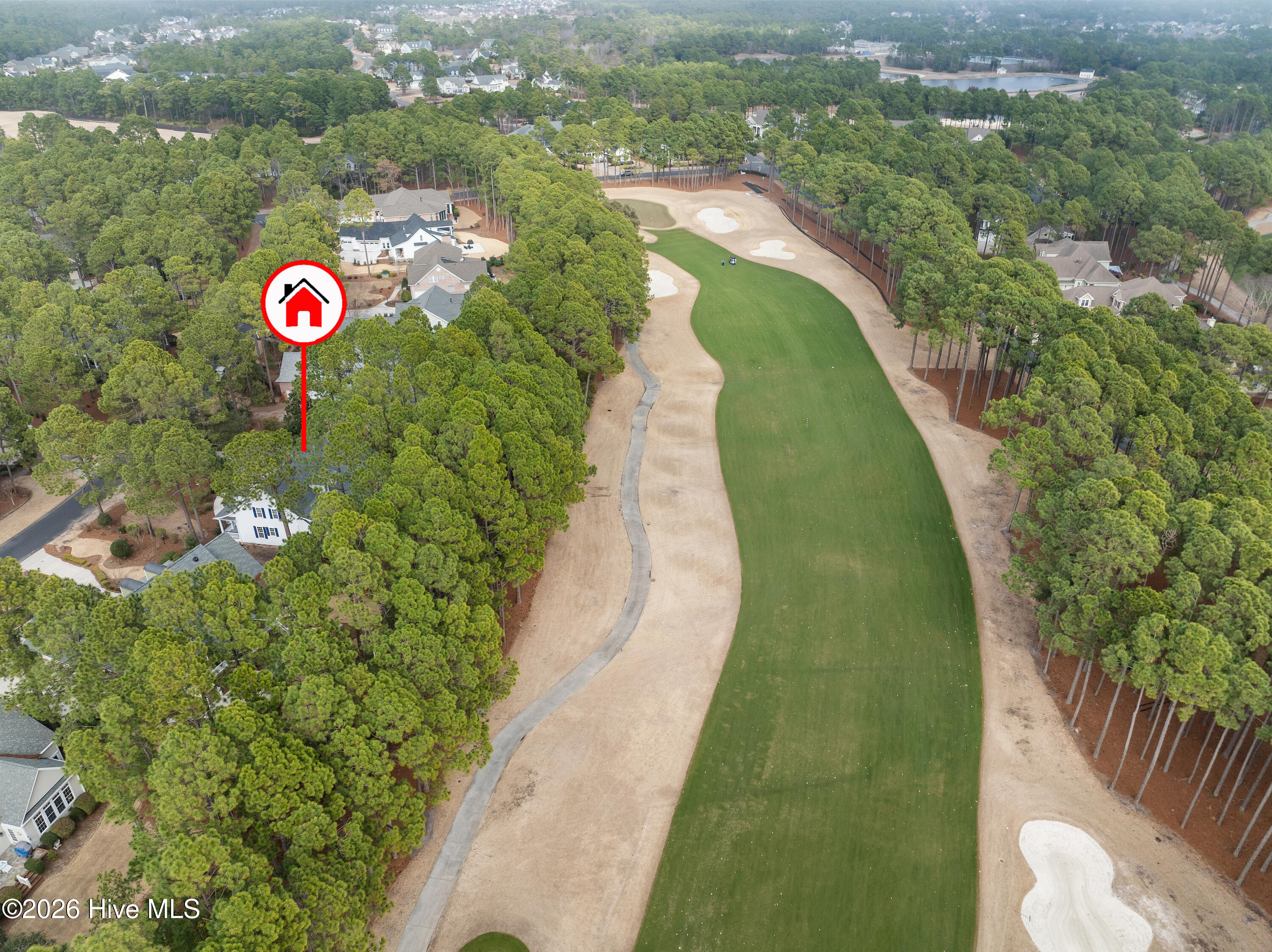 100555954 | Photo 65