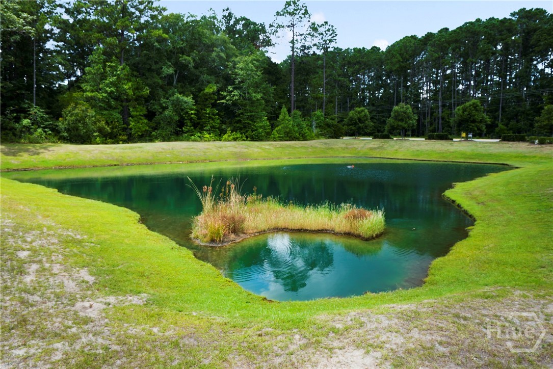 92 Wexford Drive, Richmond Hill, GA, 31324